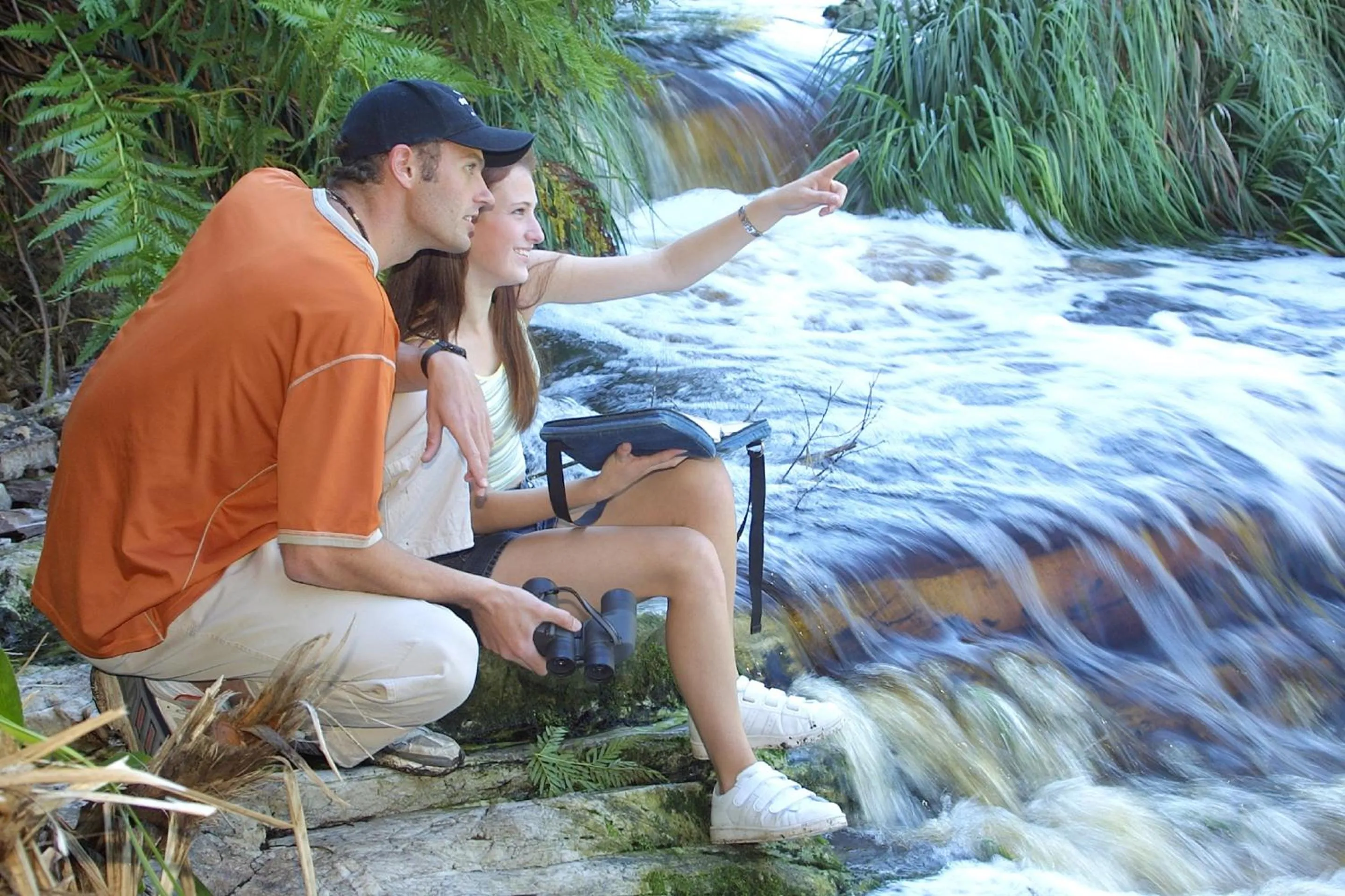 Activities in The Fernery Lodge & Spa