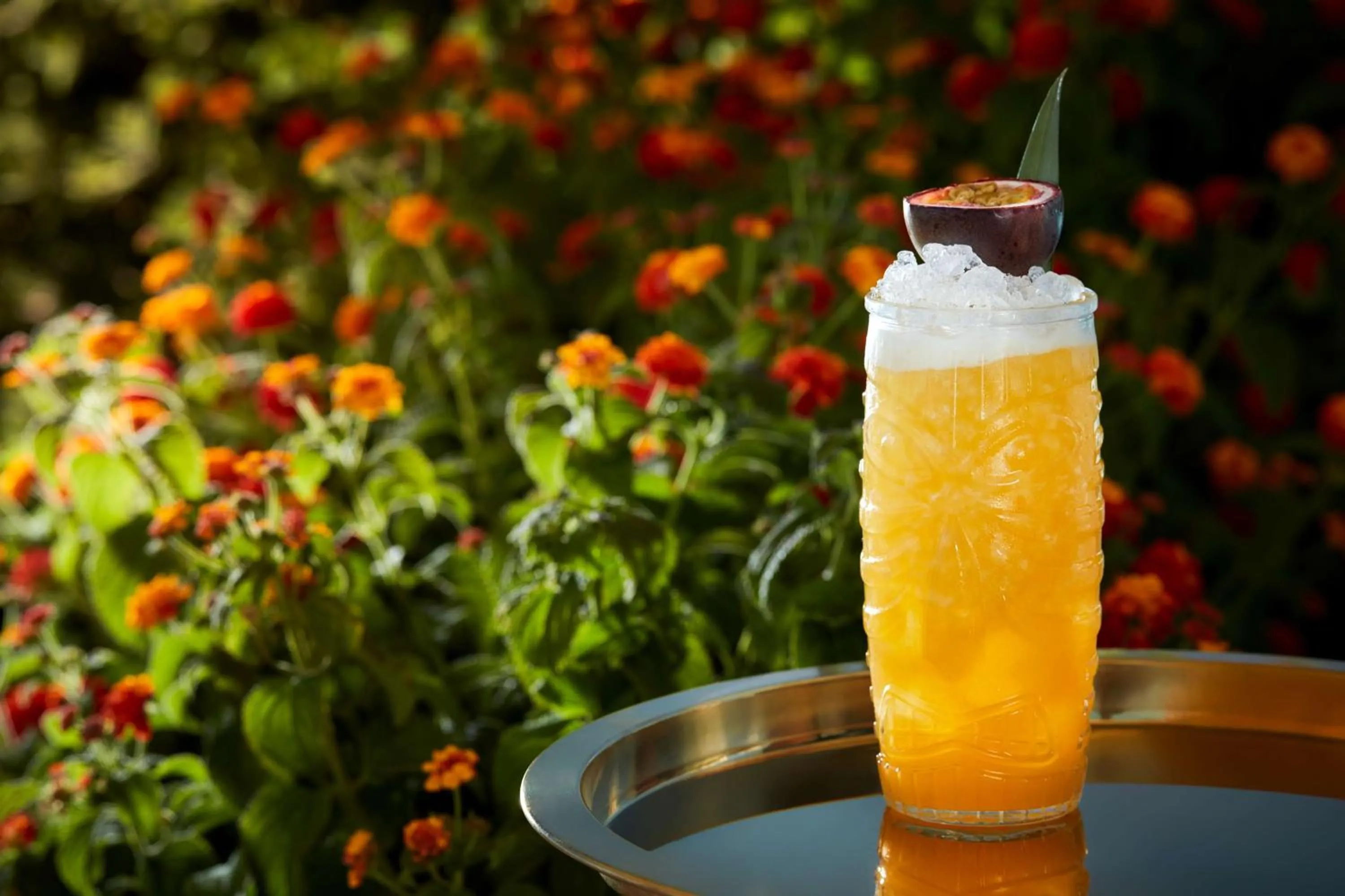 Lounge or bar in Tivoli Carvoeiro