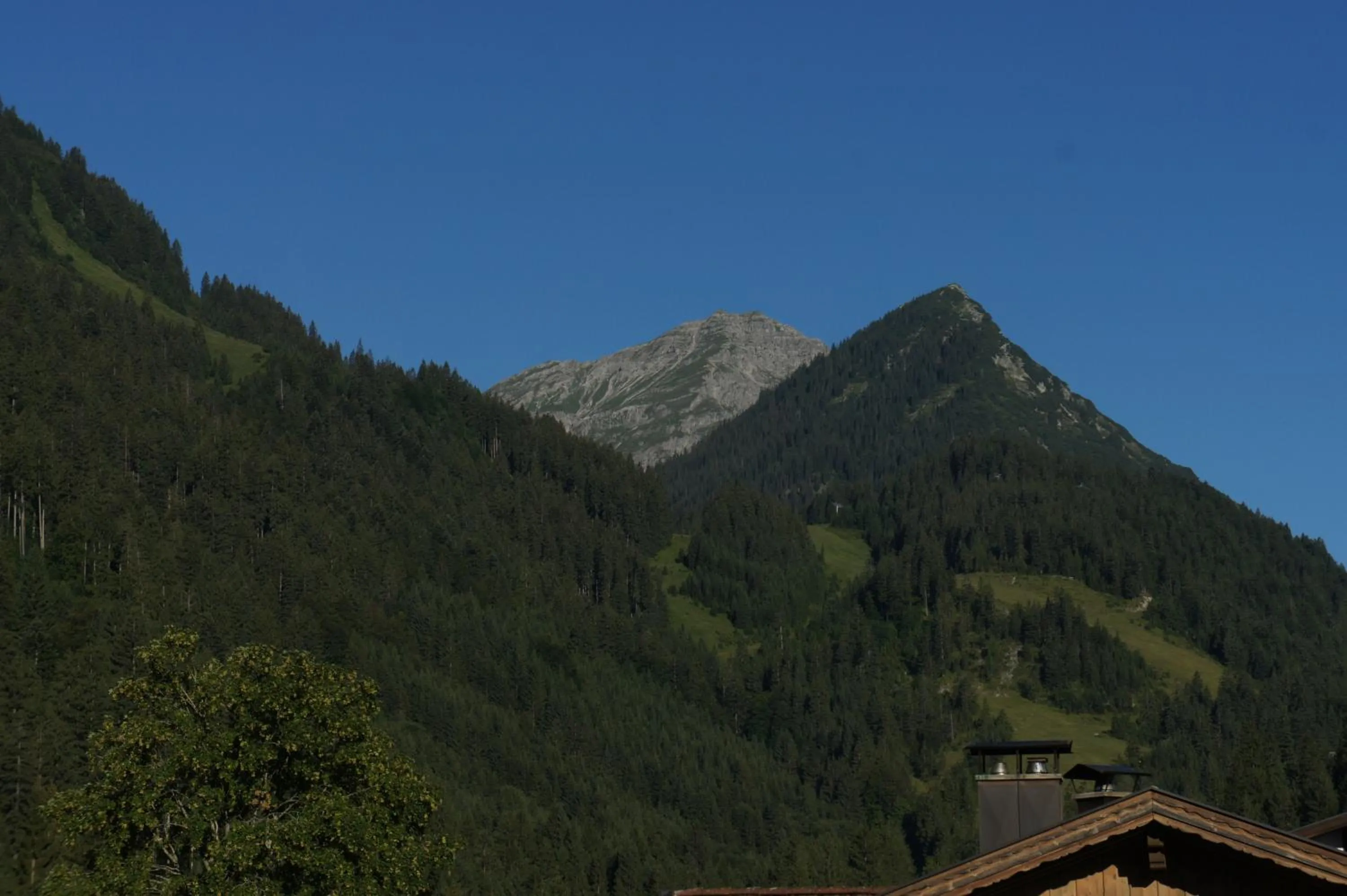 Natural landscape in Appartements Gärtner