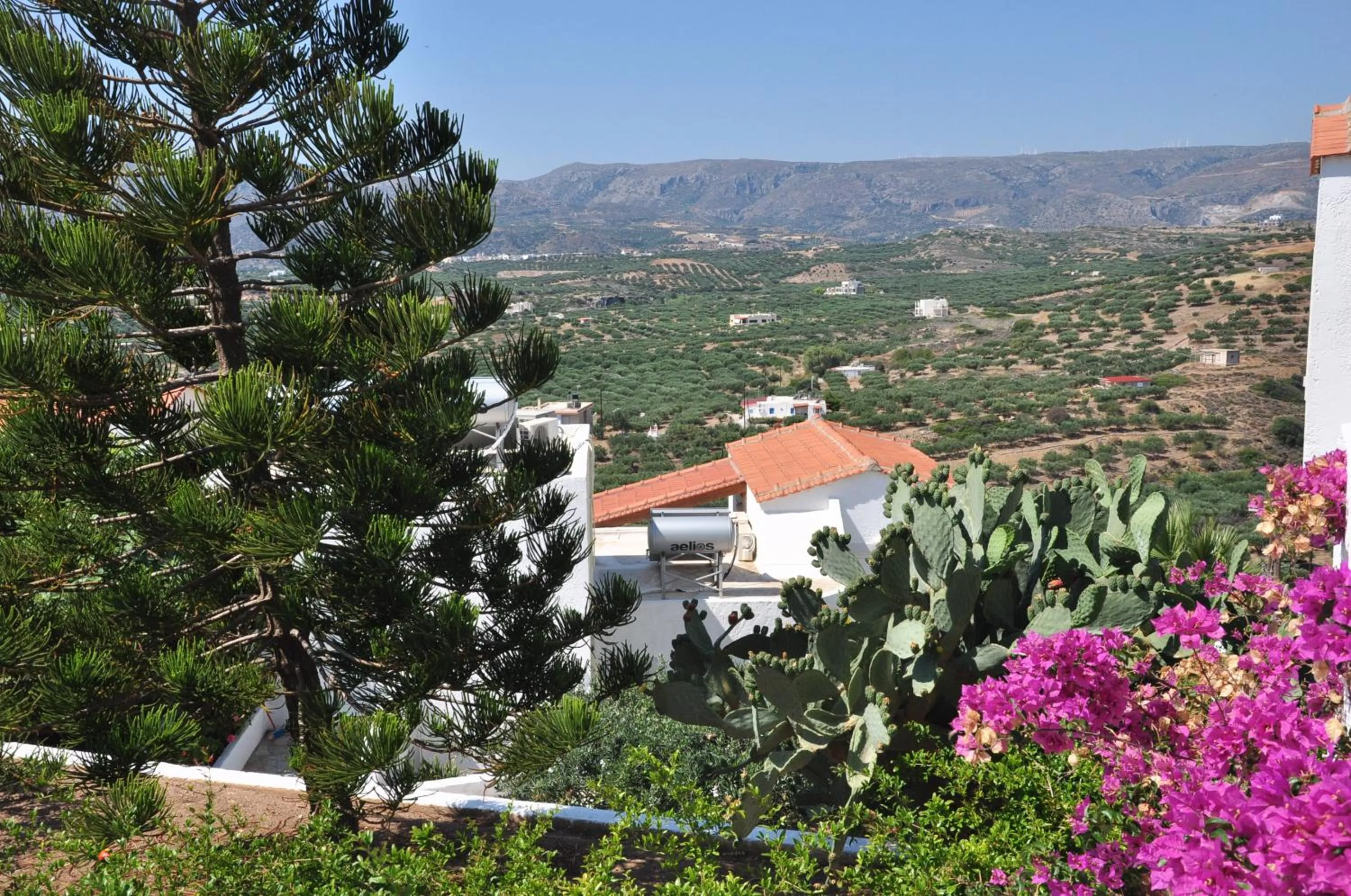 Neighbourhood in Castri Village Hotel