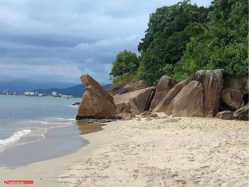 Beach in Apto lindo e aconchegante com piscina 202A