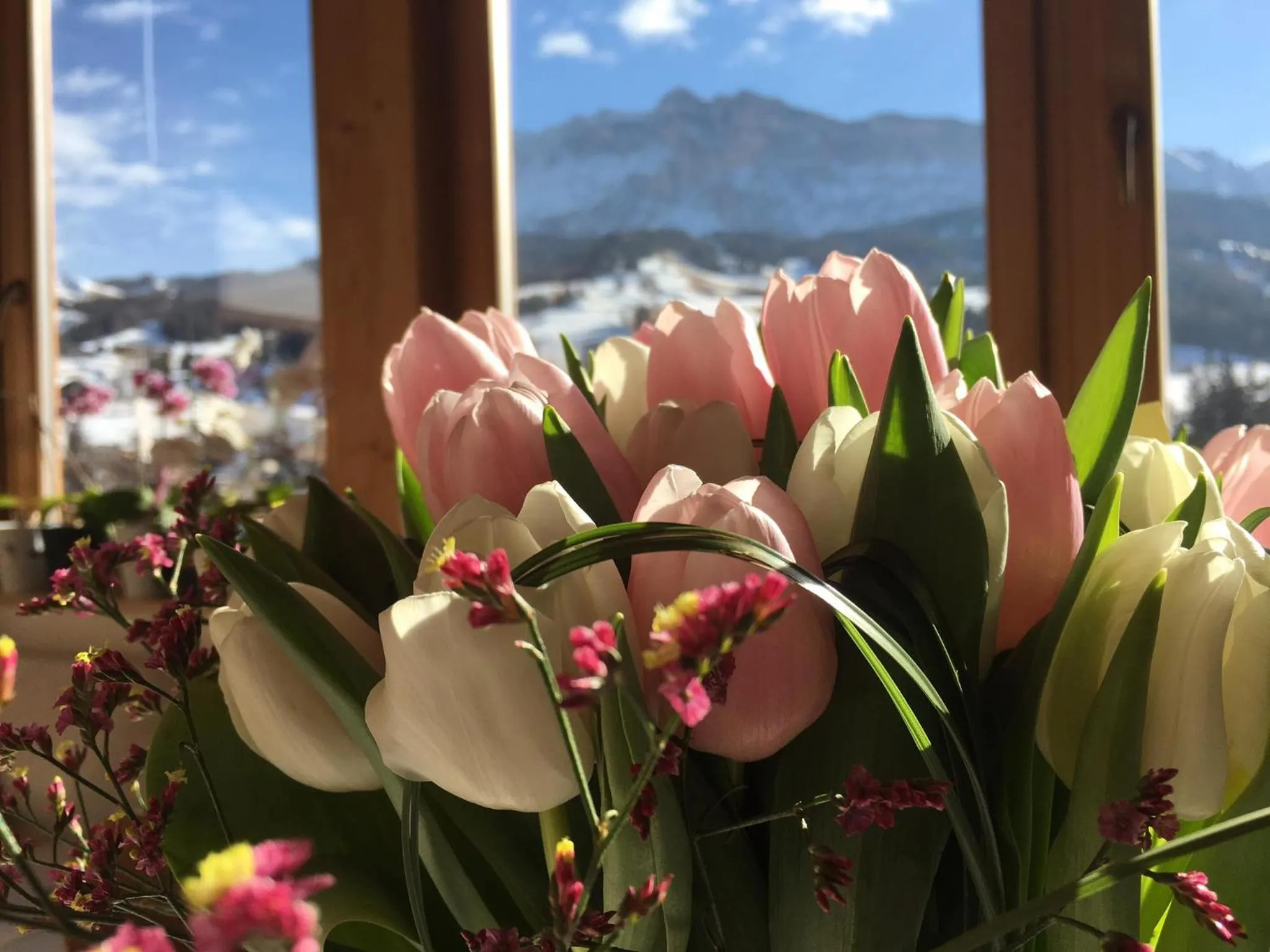 Day in Ciasa Rudiferia Appartamenti in Alta Badia