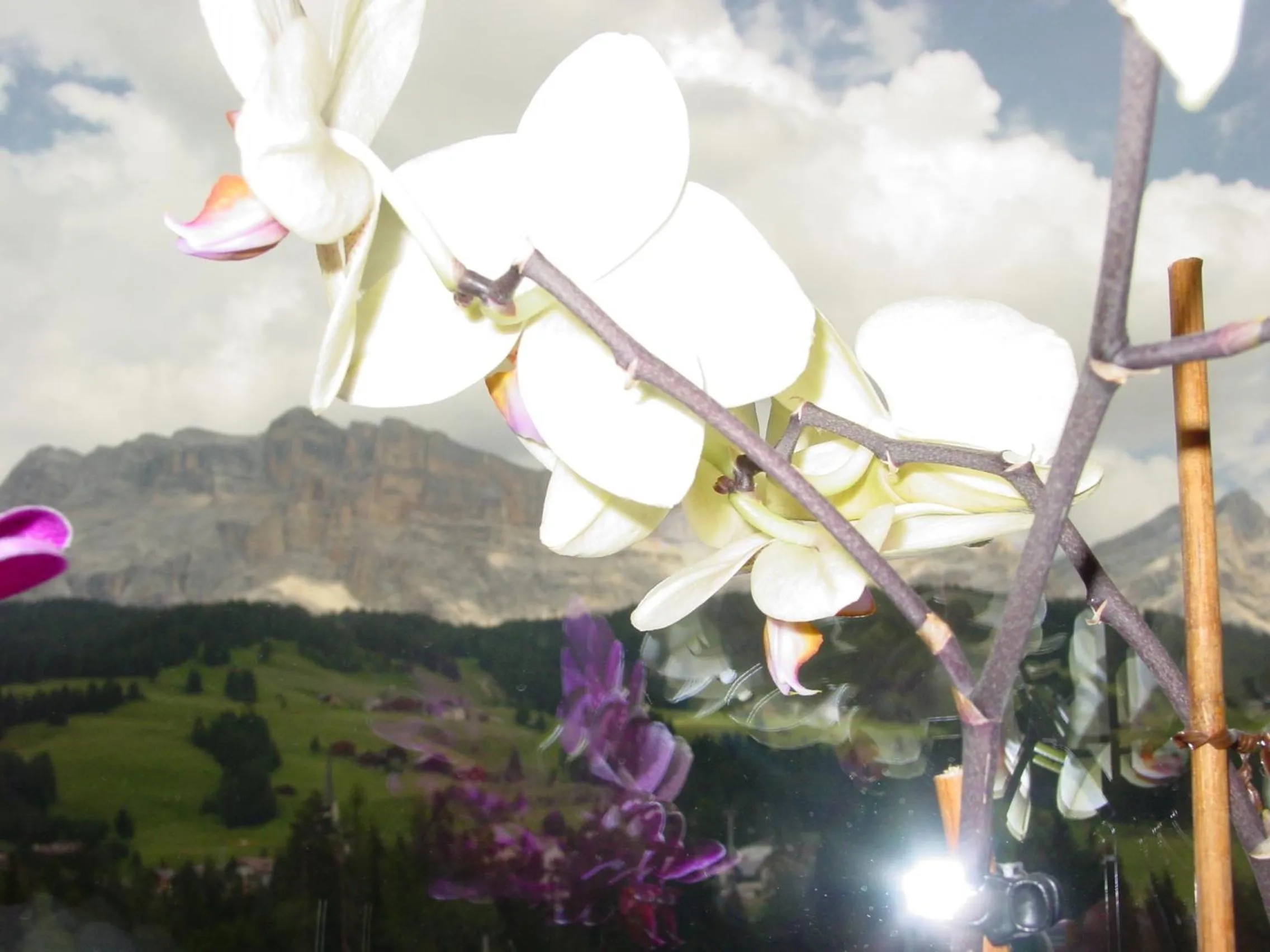 View (from property/room) in Ciasa Rudiferia Appartamenti in Alta Badia