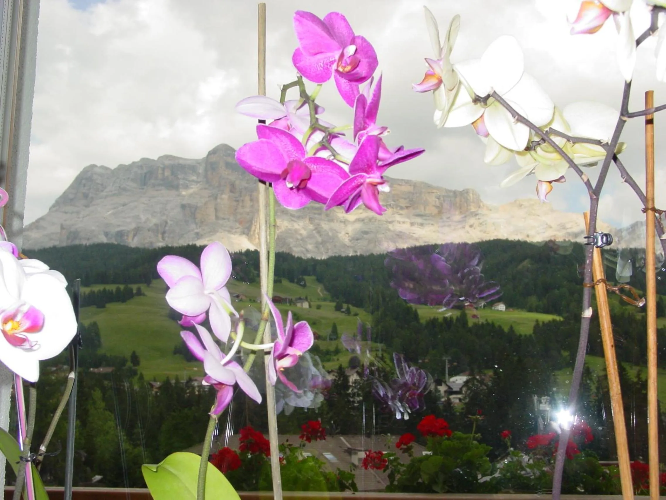 View (from property/room) in Ciasa Rudiferia Appartamenti in Alta Badia