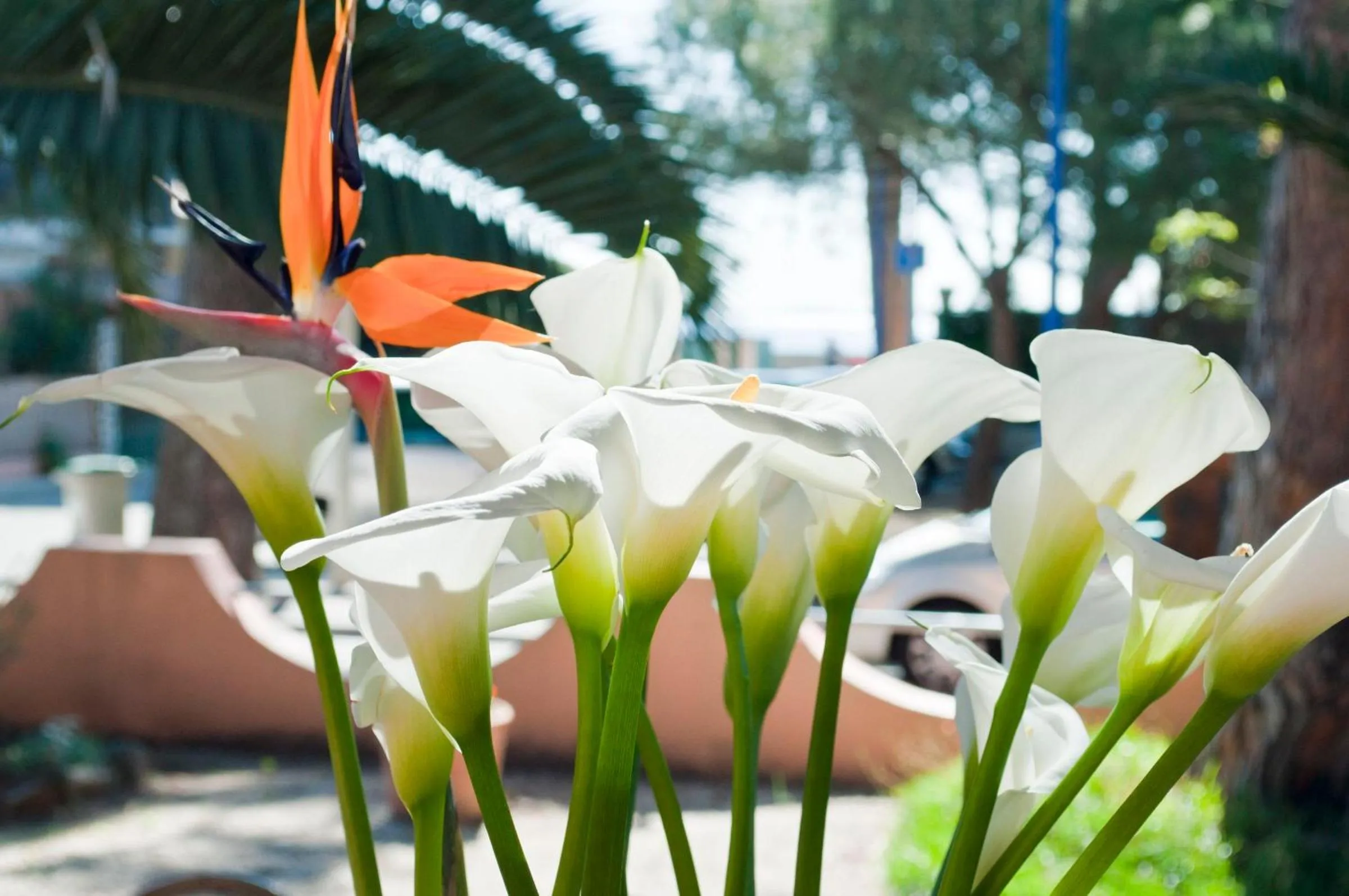 Decorative detail in Hotel Le Ceinturon