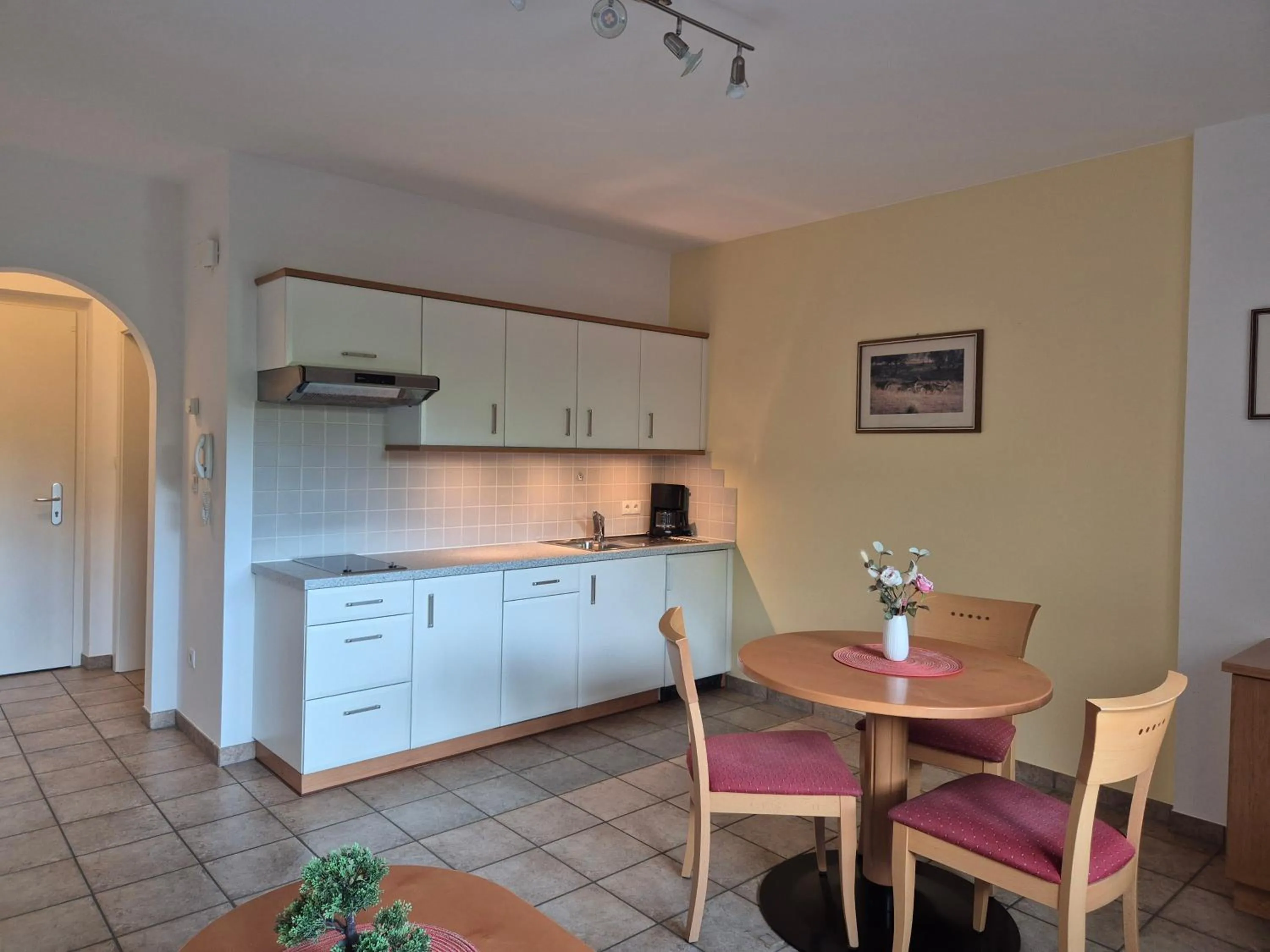 Kitchen or kitchenette in Appartementhaus Am Waalweg