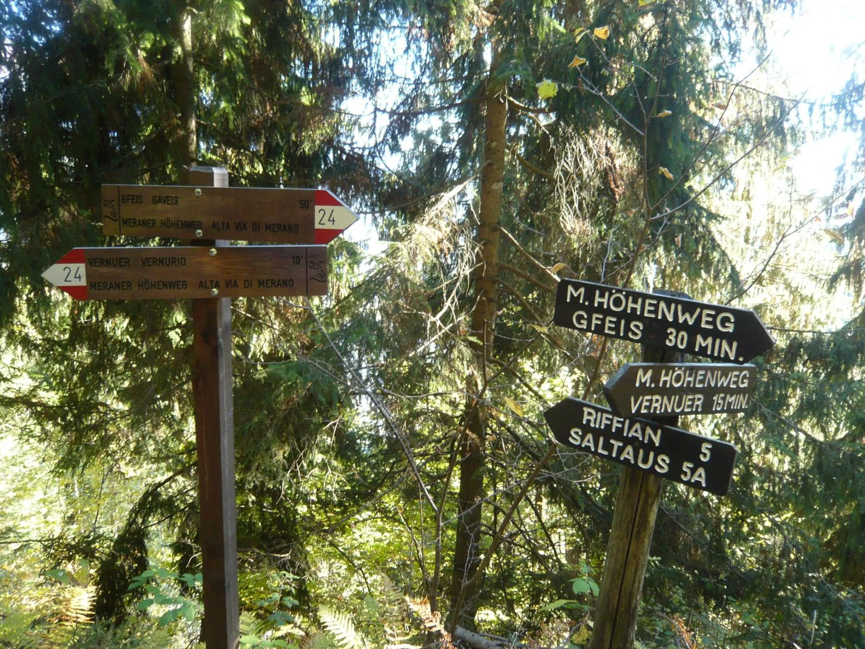 Hiking in Appartementhaus Am Waalweg