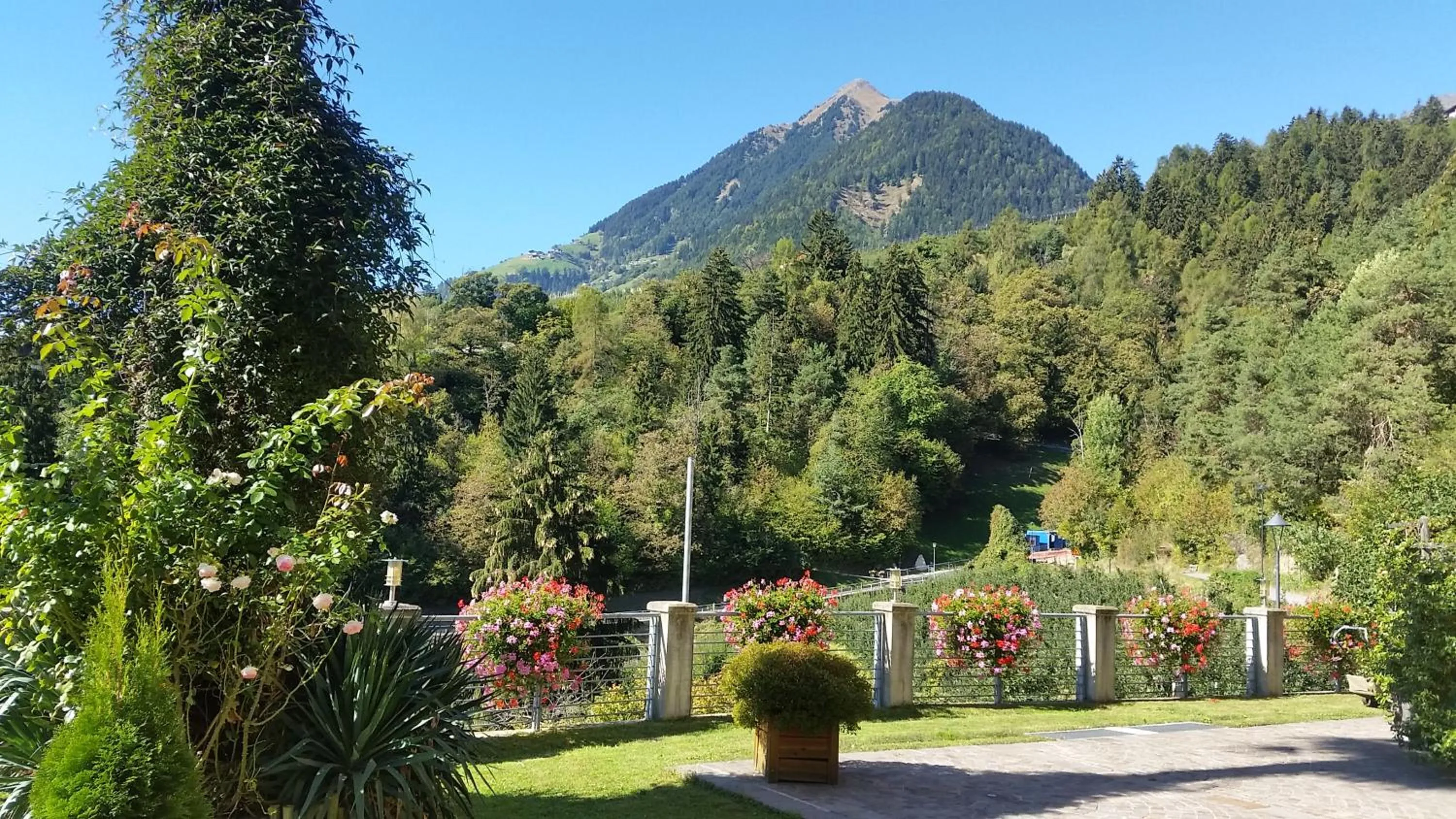 Mountain view in Appartementhaus Am Waalweg