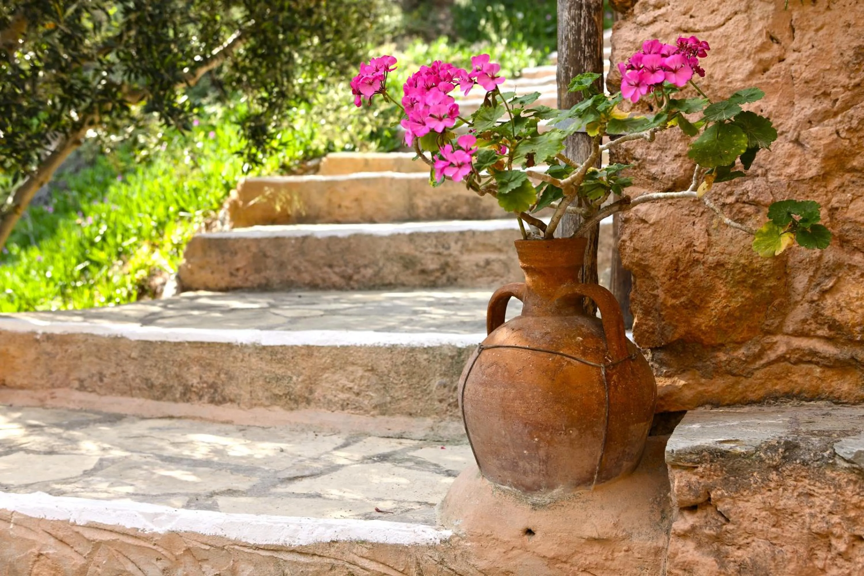 Day in Aspros Potamos