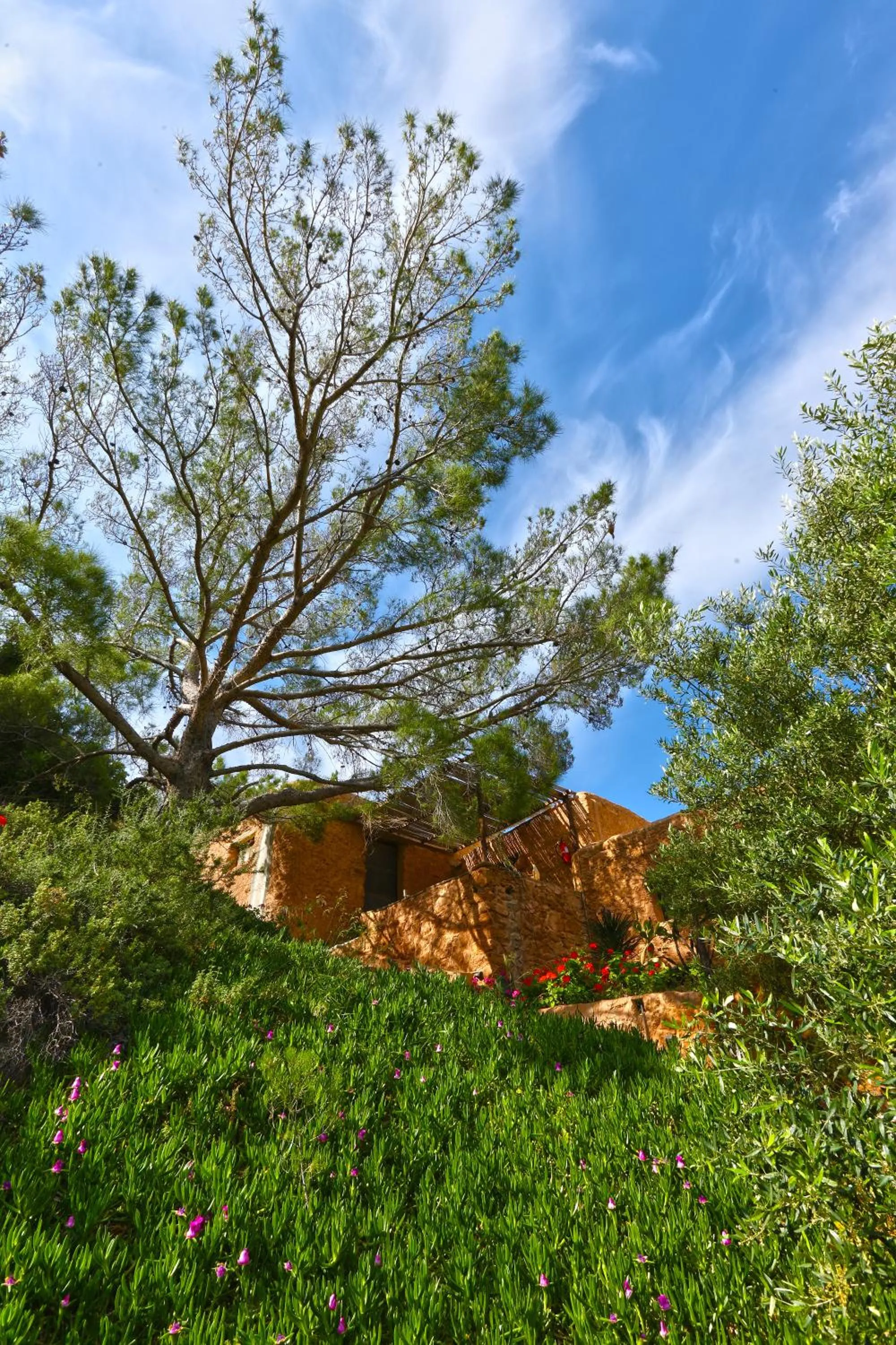 Garden in Aspros Potamos