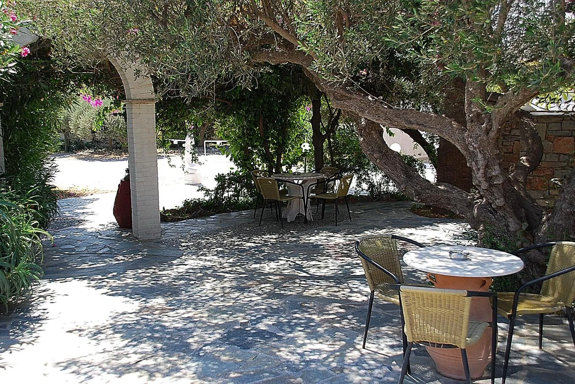 Garden in Hotel Marina Village