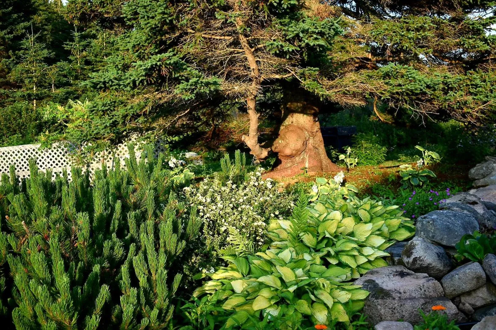 Garden in Seascape Coastal Retreat - 2 ADULTS ONLY - HOT TUB AND WITHOUT HOT TUB OCEANFRONT PROPERTY