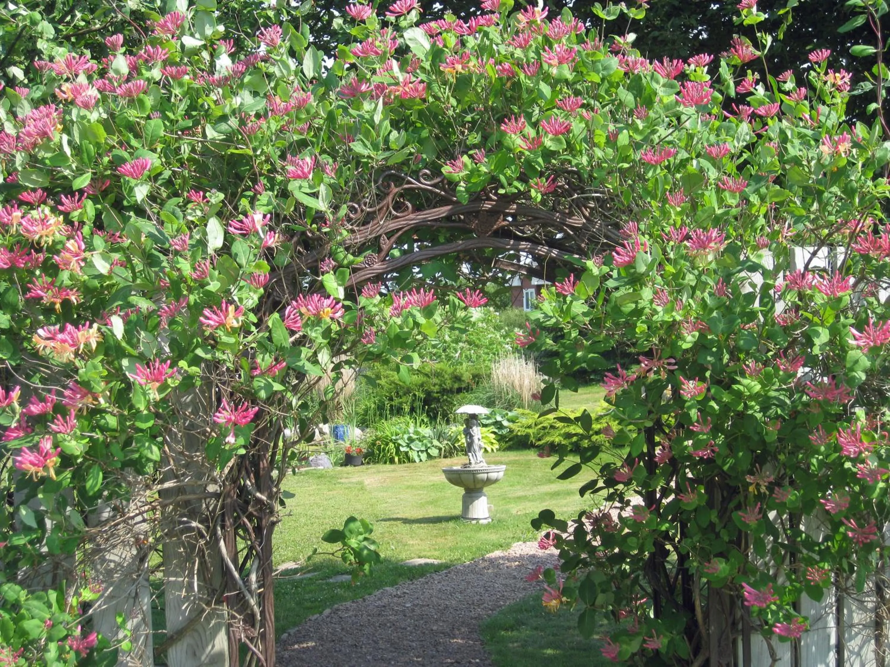 Garden in Seascape Coastal Retreat - 2 ADULTS ONLY - HOT TUB AND WITHOUT HOT TUB OCEANFRONT PROPERTY