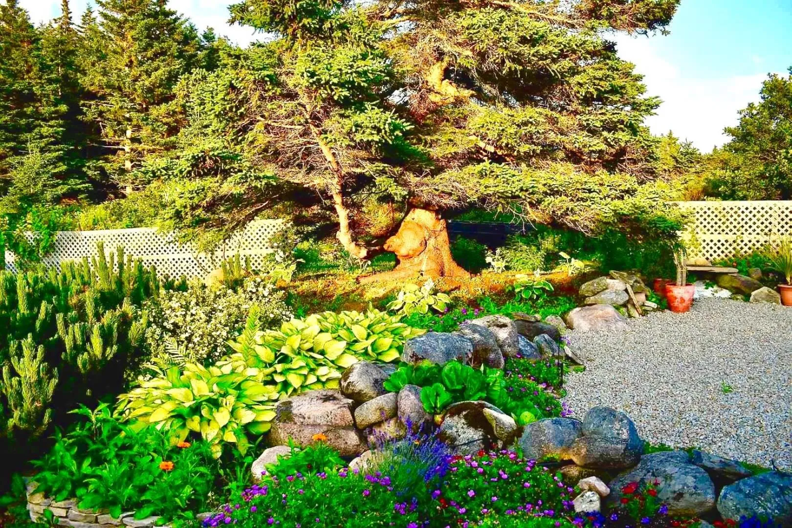 Garden in Seascape Coastal Retreat - 2 ADULTS ONLY - HOT TUB AND WITHOUT HOT TUB OCEANFRONT PROPERTY