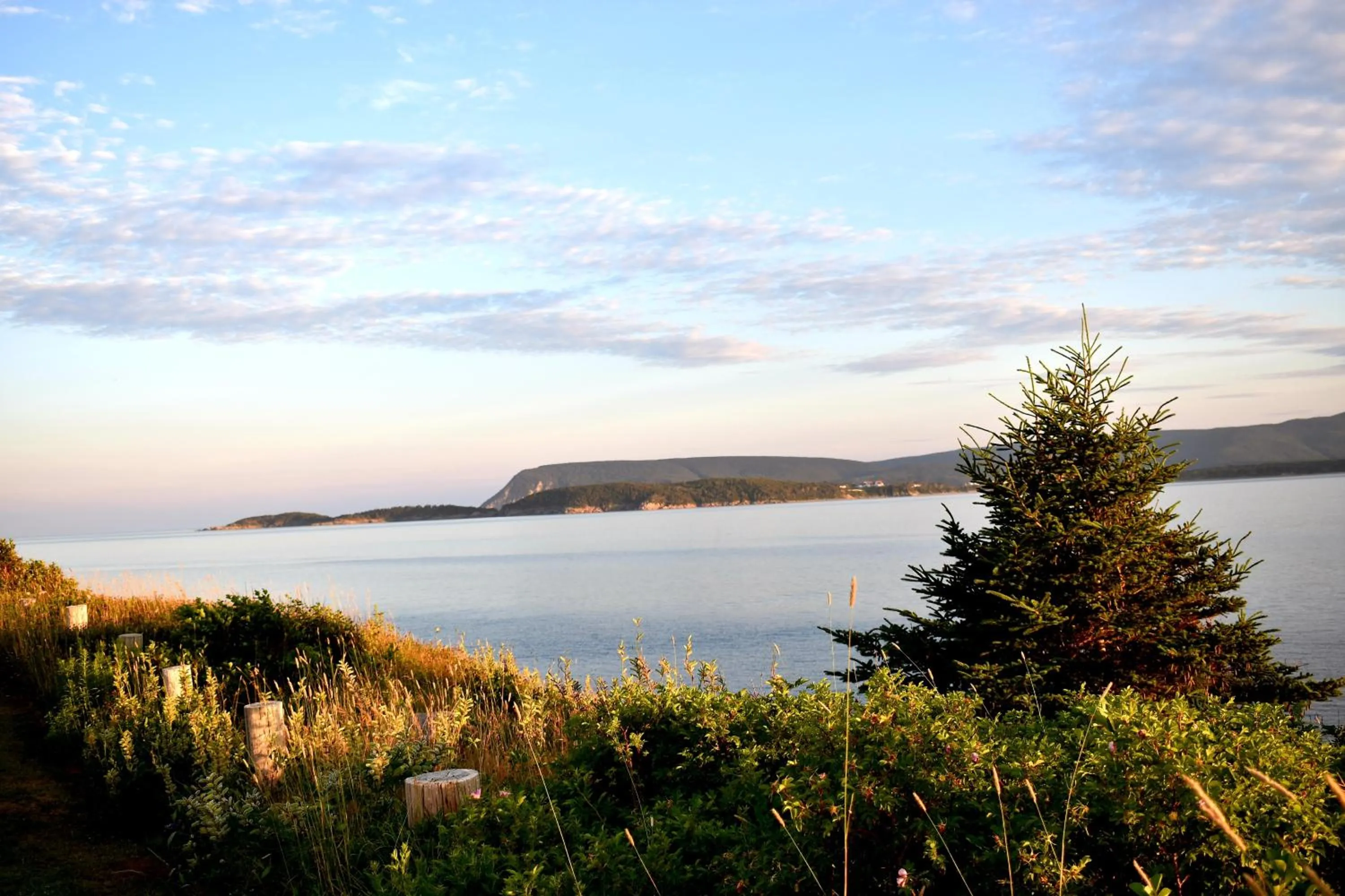 Natural landscape in Seascape Coastal Retreat - 2 ADULTS ONLY - HOT TUB AND WITHOUT HOT TUB OCEANFRONT PROPERTY