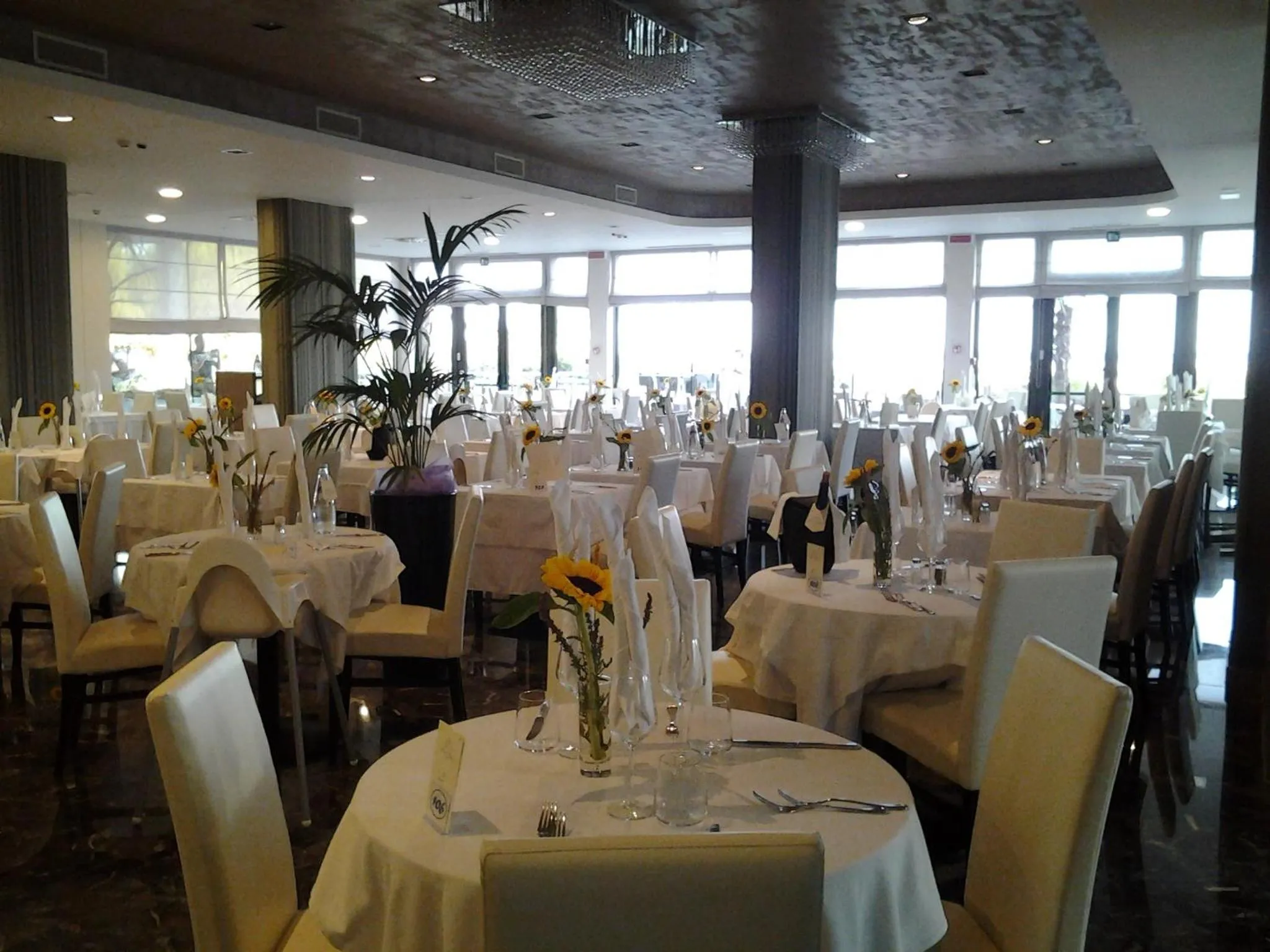 Restaurant/places to eat in Hotel Italy