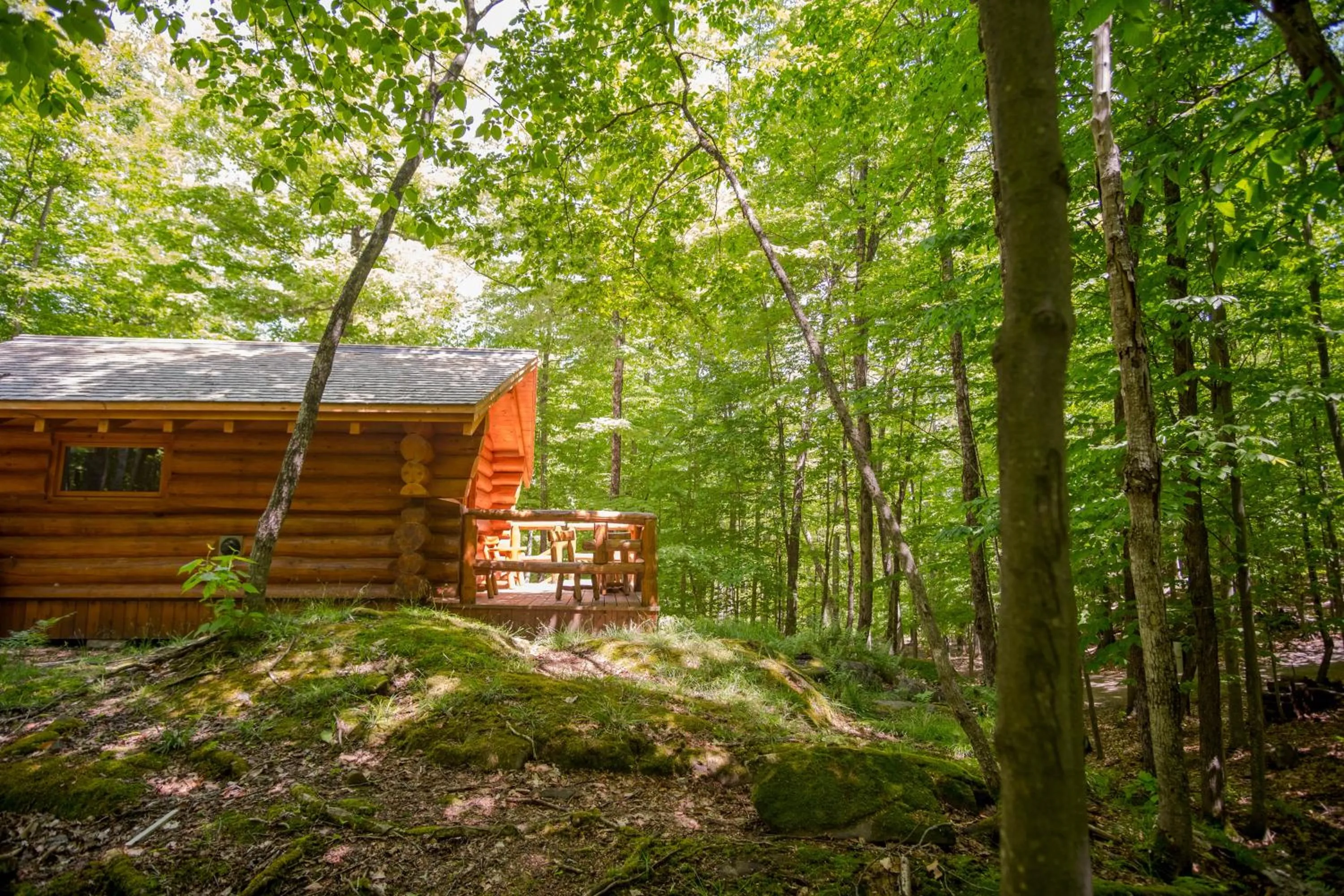 Natural landscape in Parc Omega