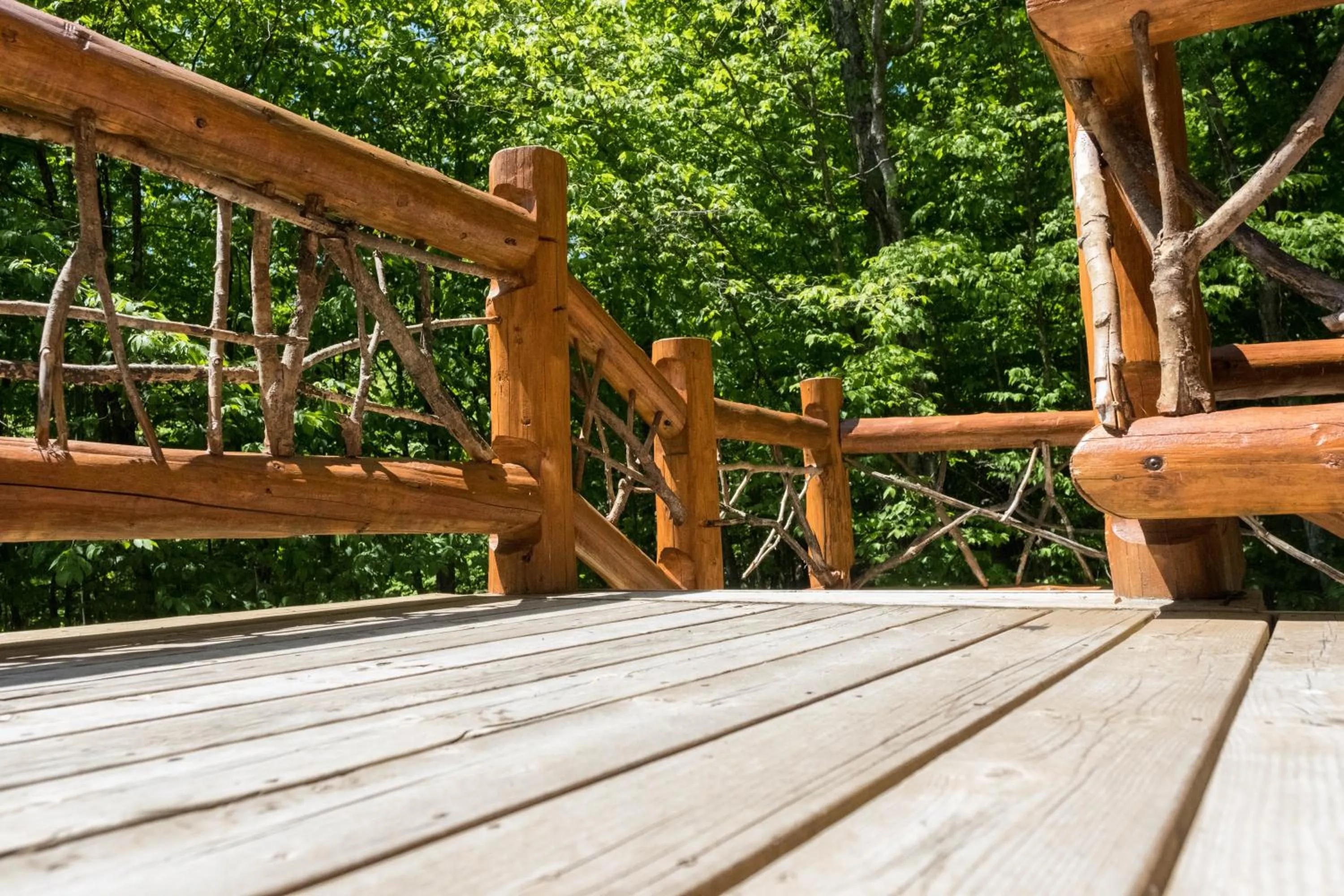 Natural landscape in Parc Omega