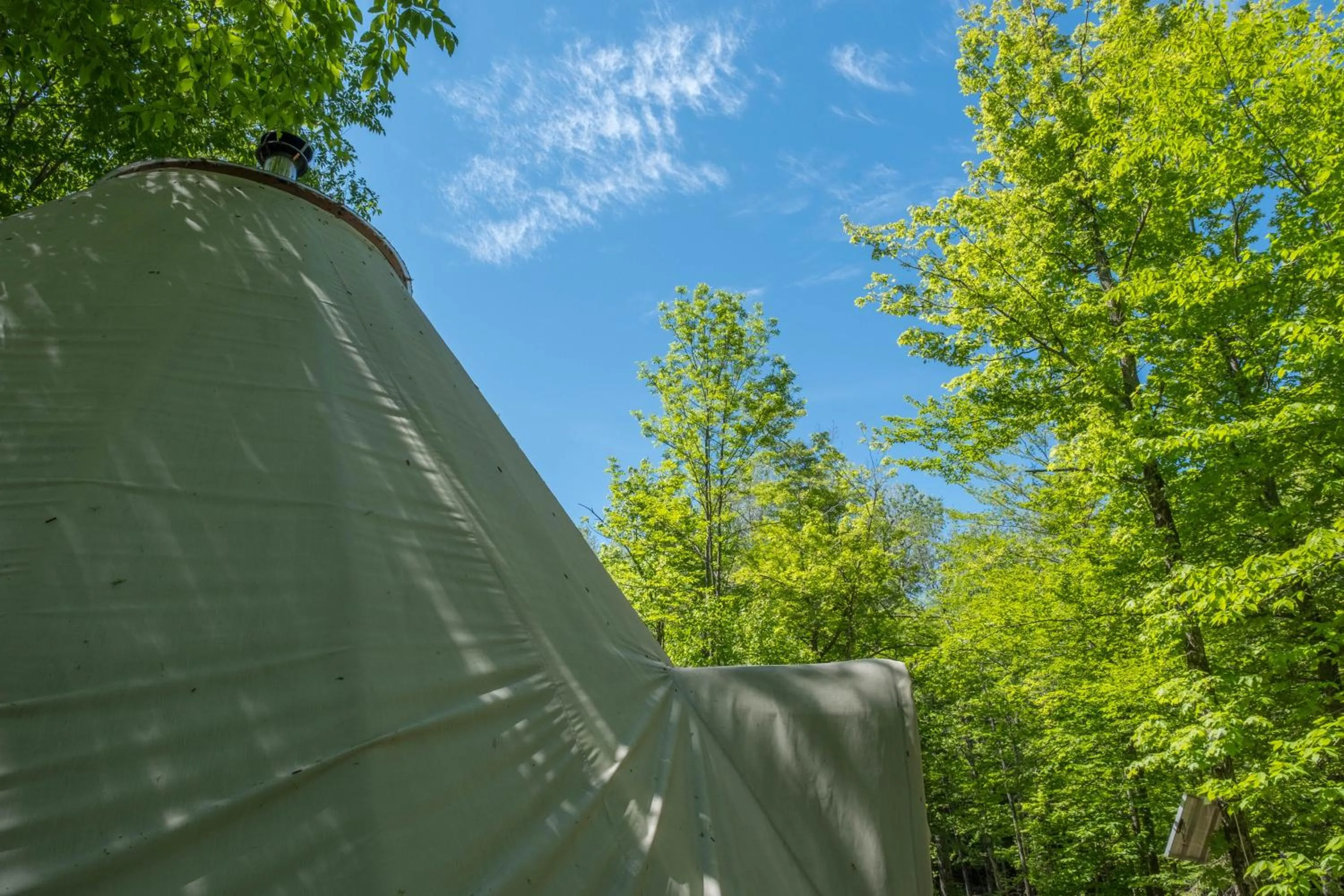Natural landscape in Parc Omega