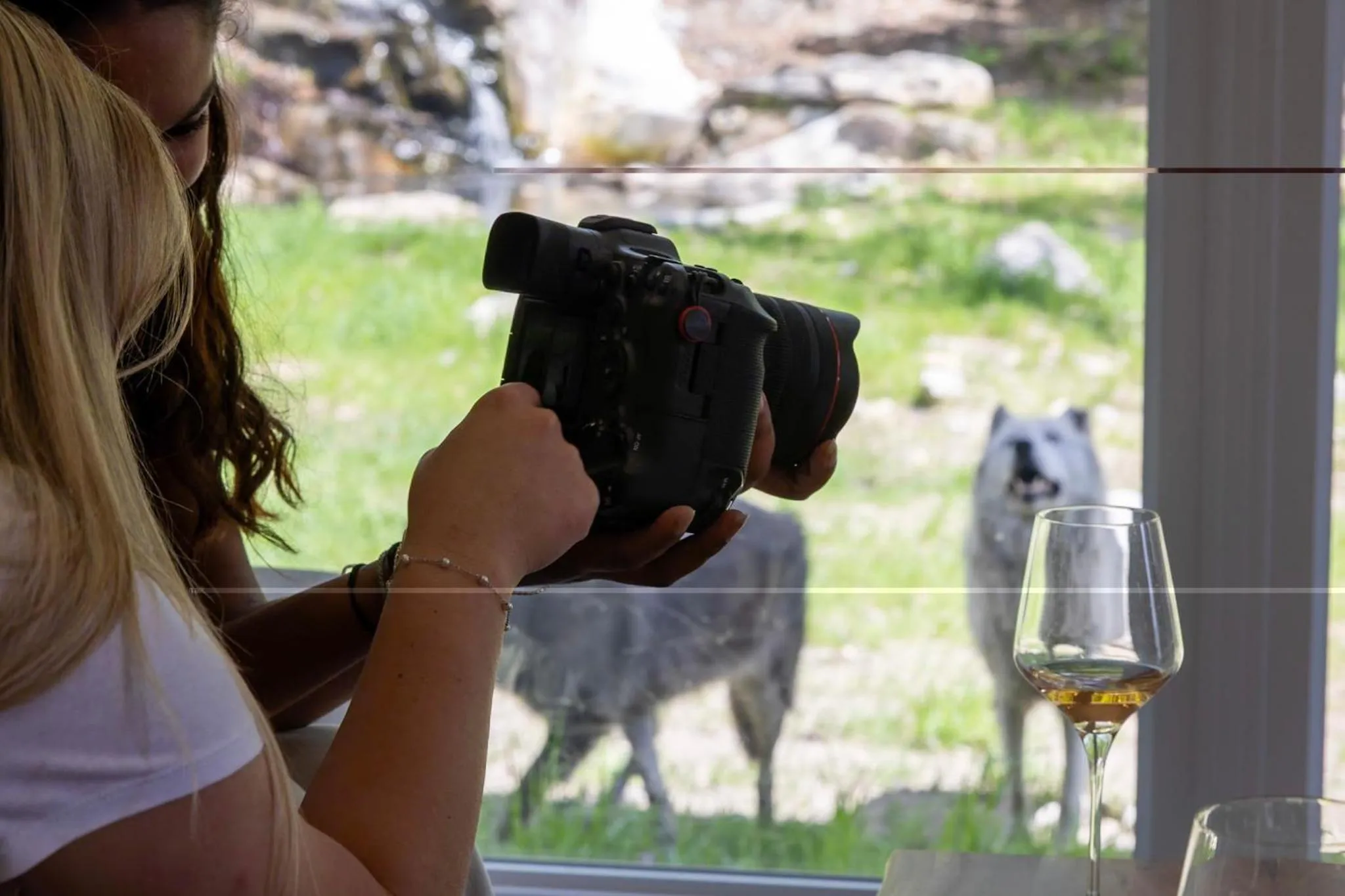 pet friendly in Parc Omega