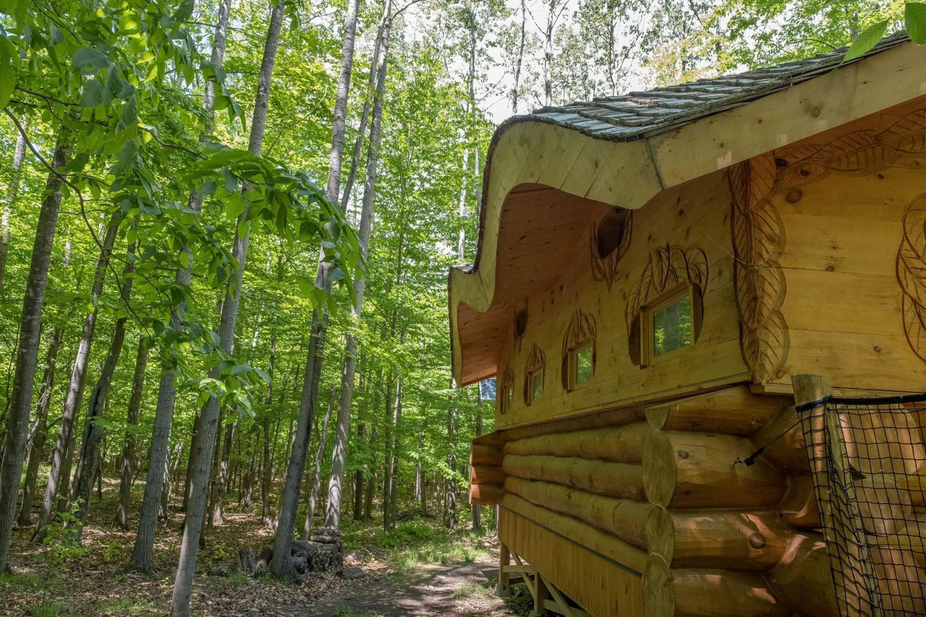Natural landscape in Parc Omega