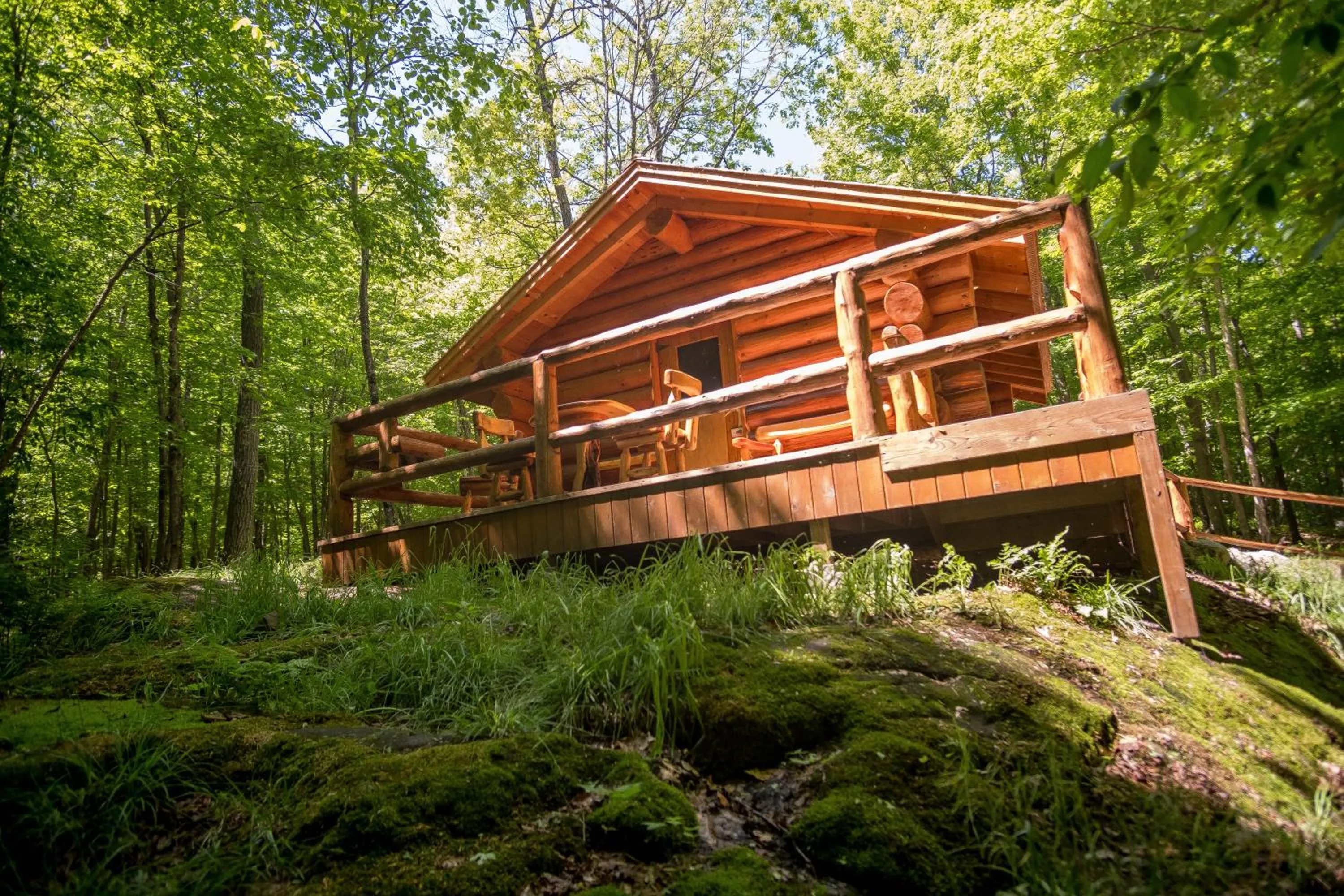 Natural landscape in Parc Omega