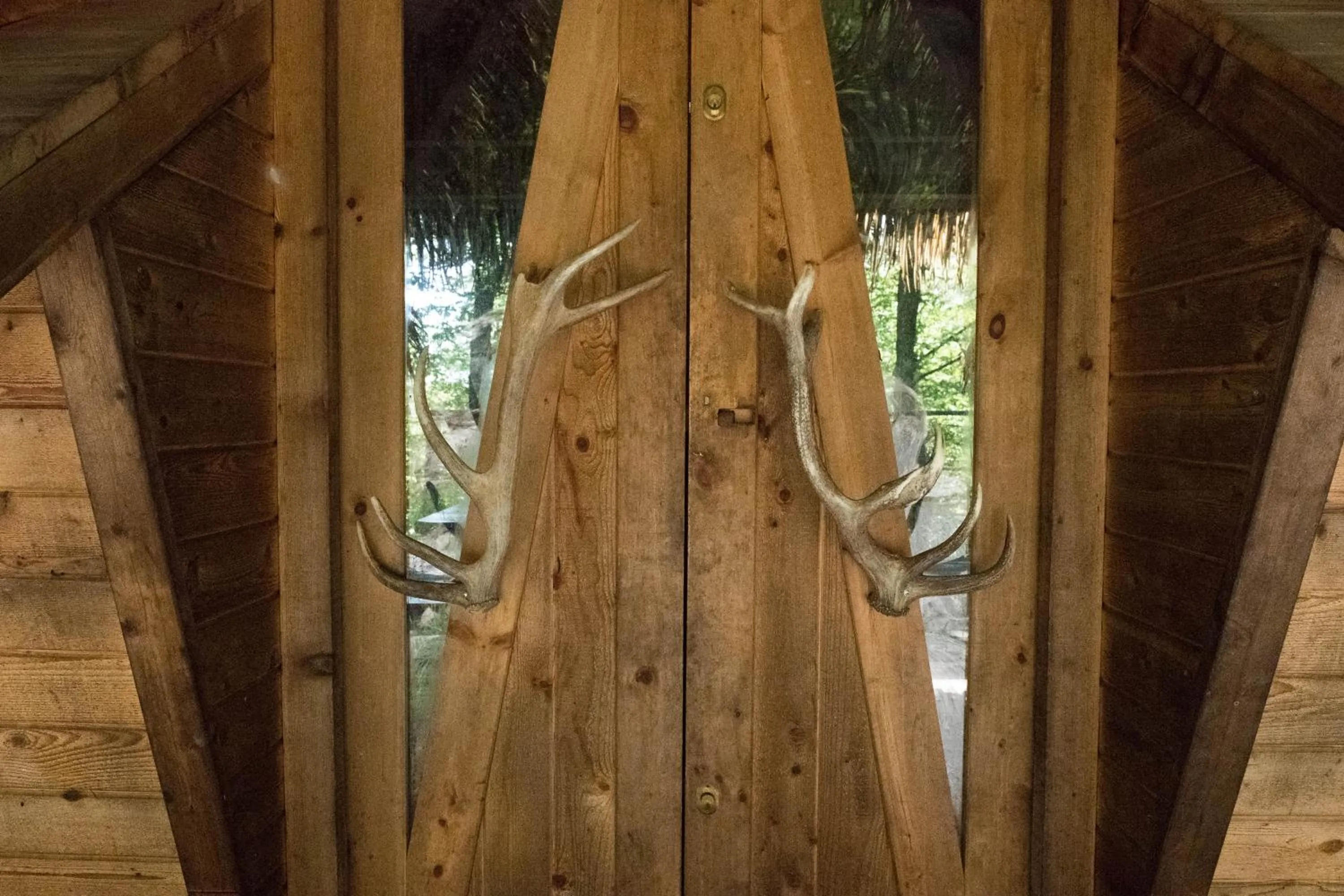 Natural landscape in Parc Omega