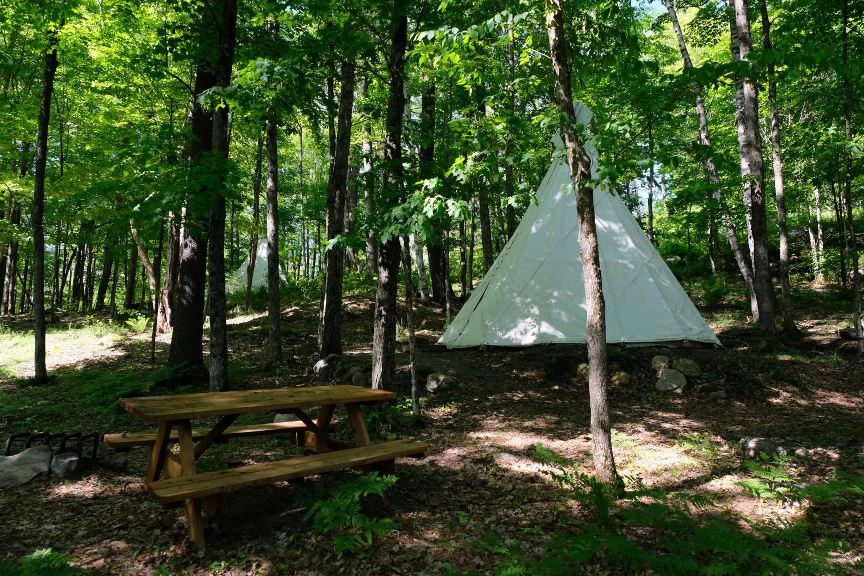 Property building in Parc Omega