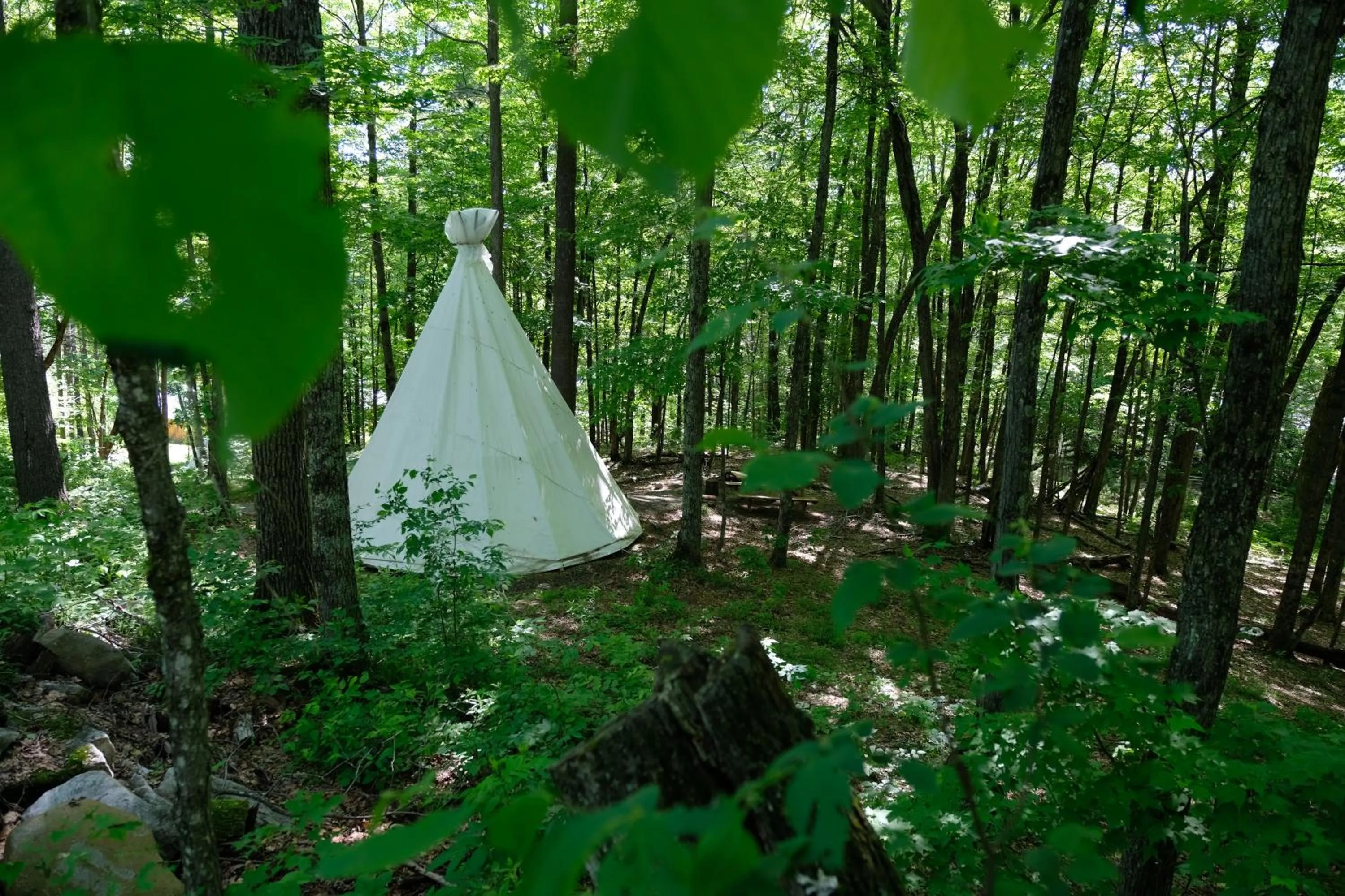 Property building in Parc Omega