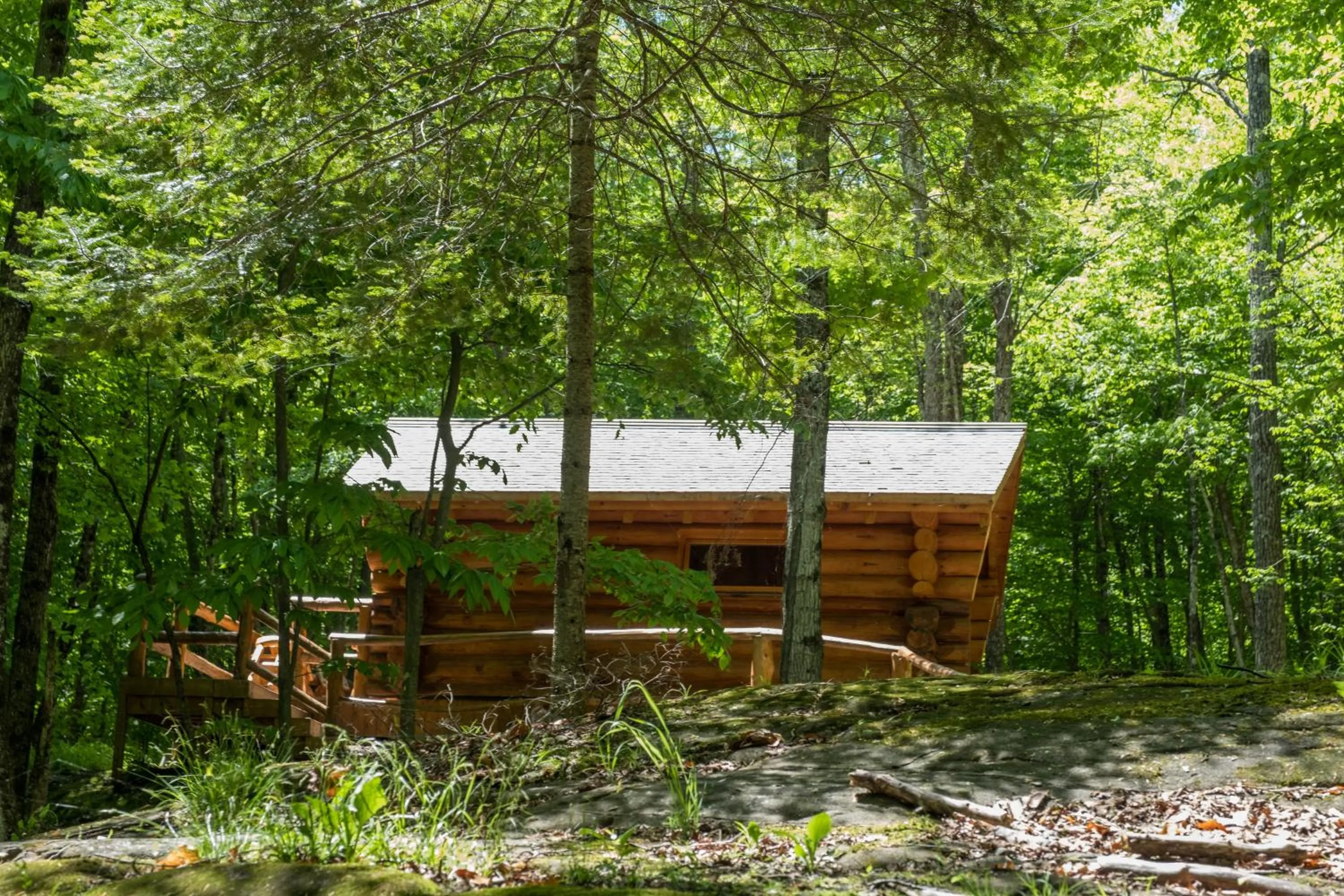 Natural landscape in Parc Omega