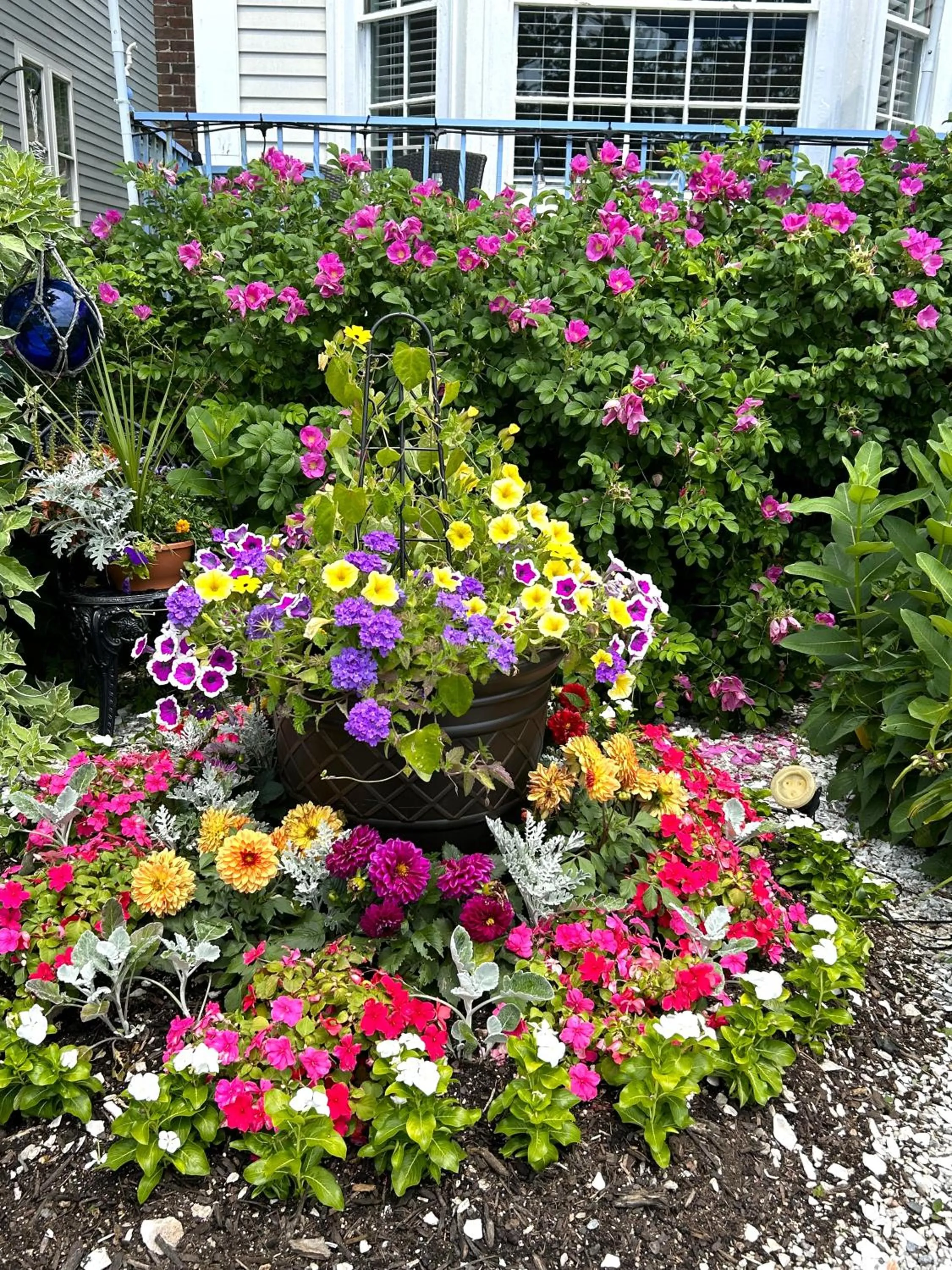 Garden in Harborview Inn