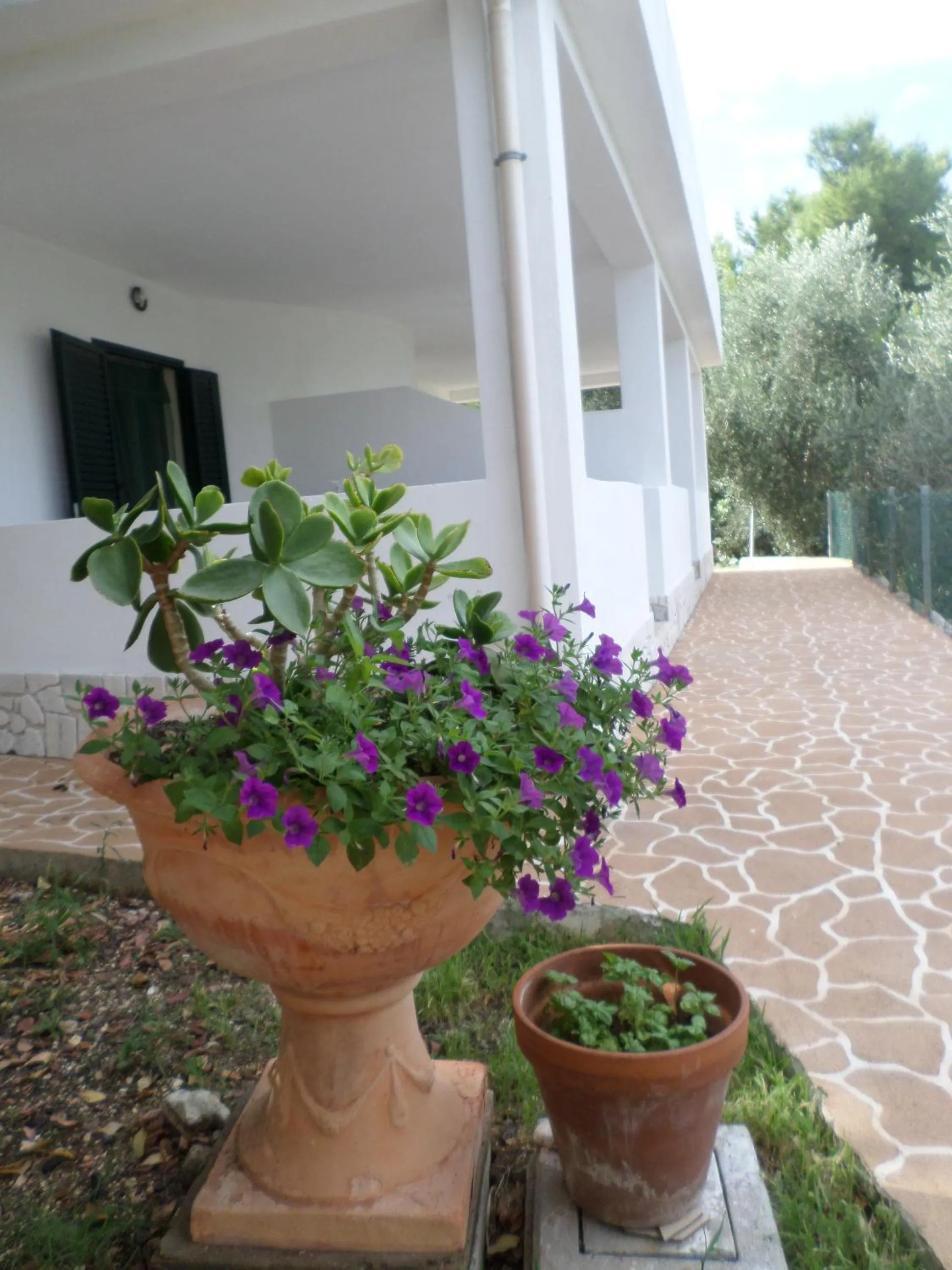 Property building in Residence Dolce Far Niente