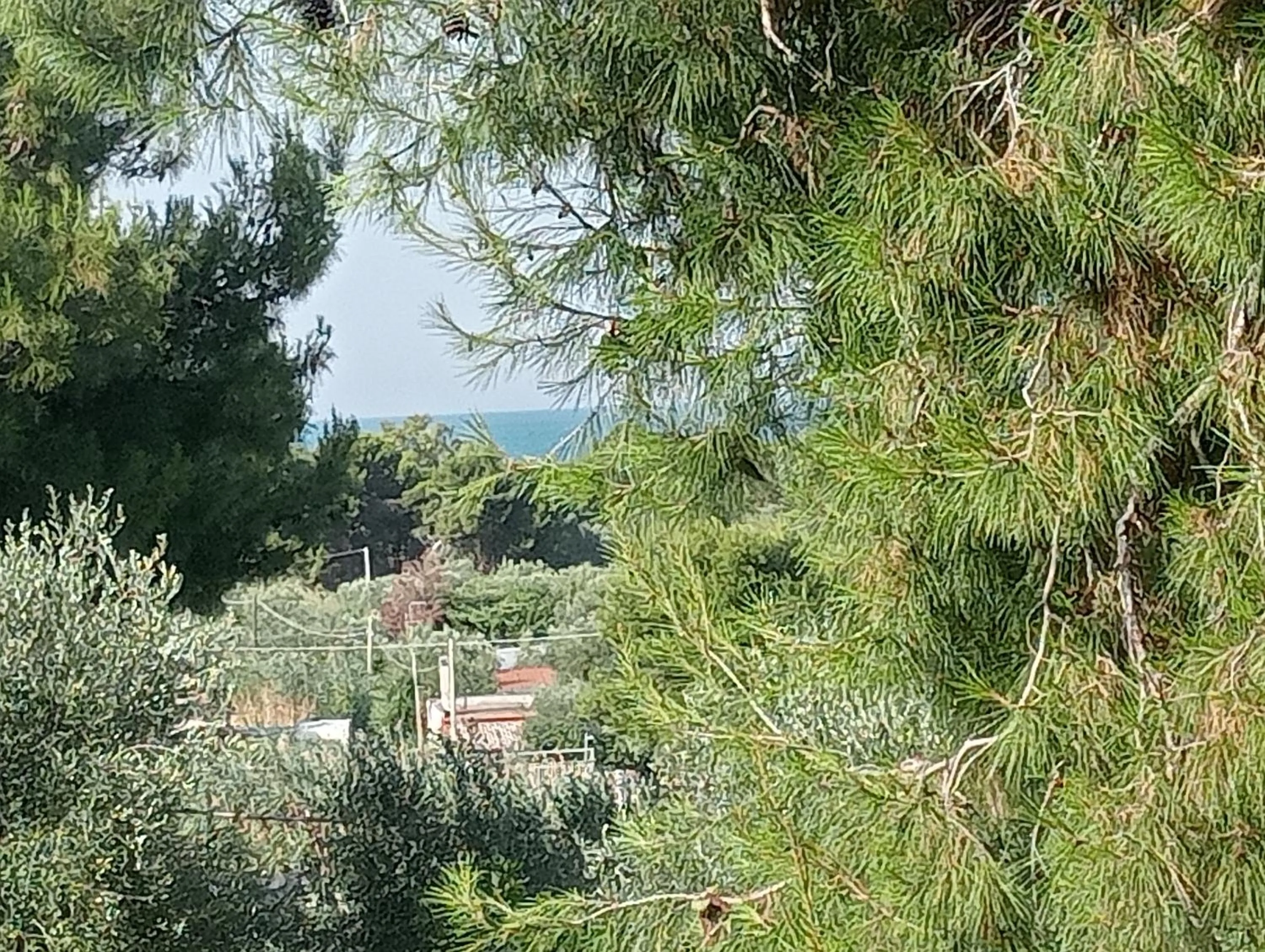 Residence Dolce Far Niente