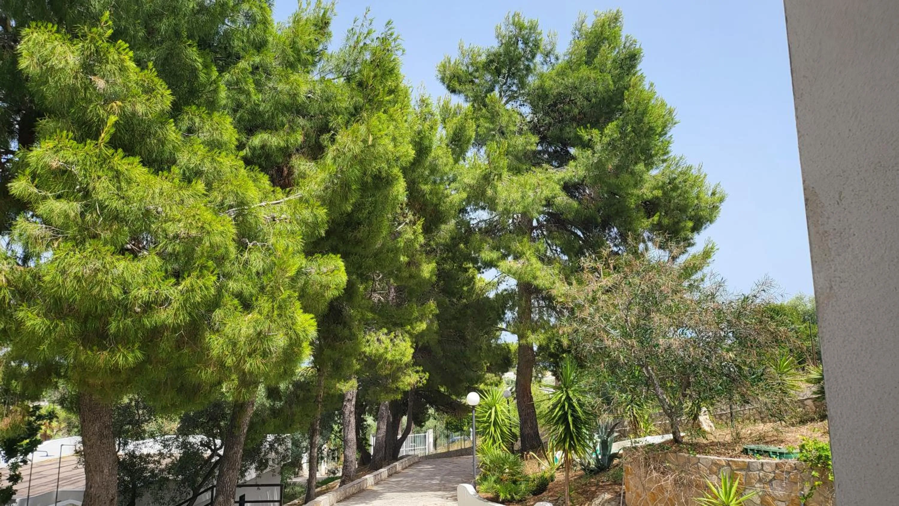 Residence Dolce Far Niente