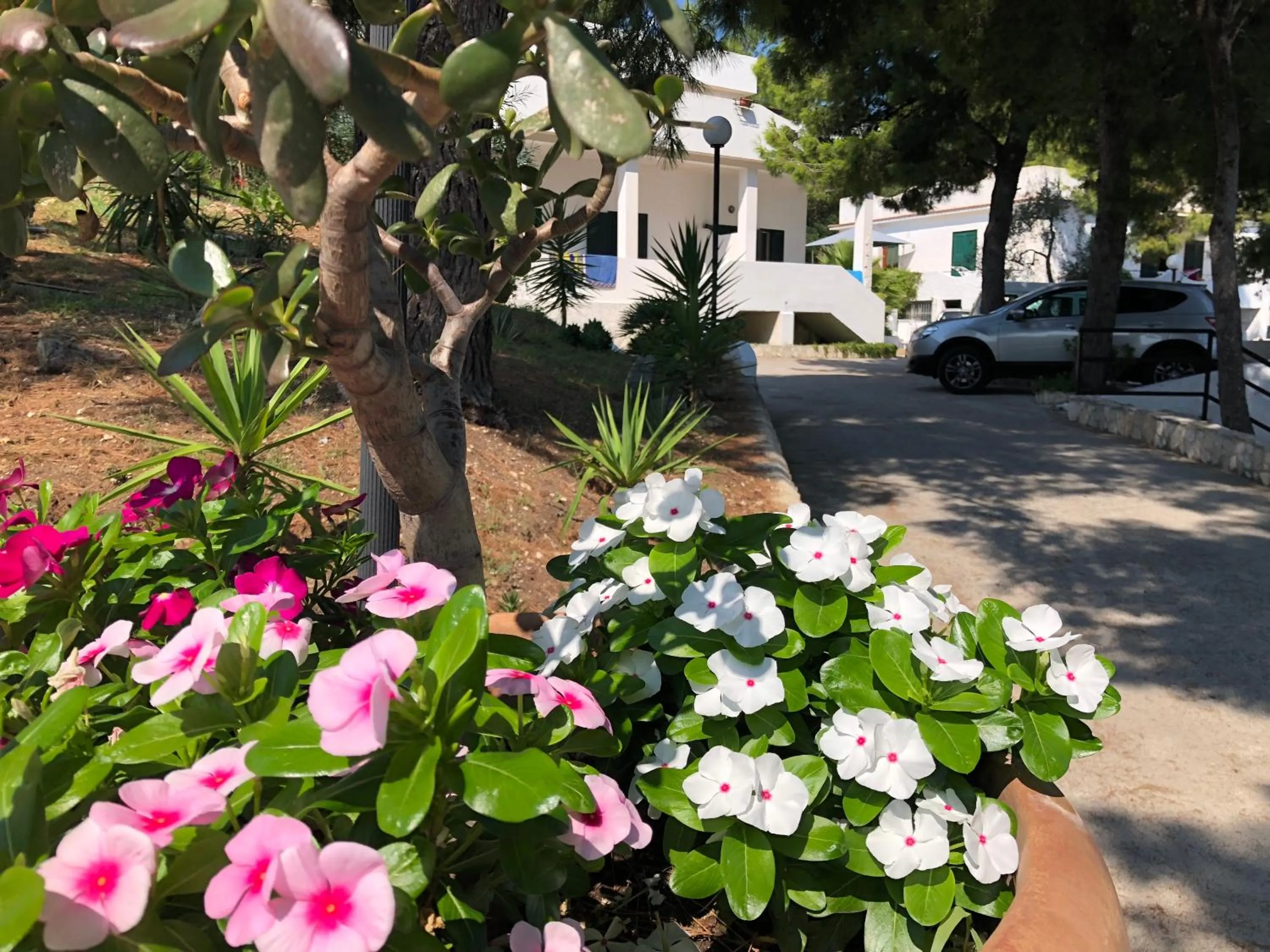 Street view in Residence Dolce Far Niente