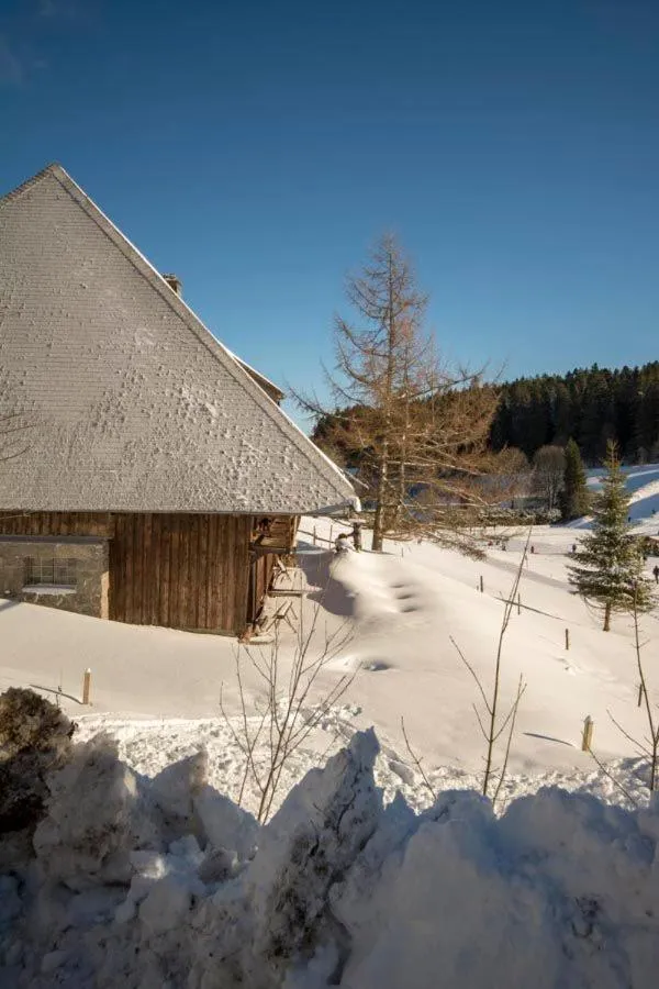 Natural landscape in Hotel Adlerschanze