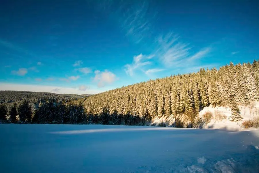 Natural landscape in Hotel Adlerschanze