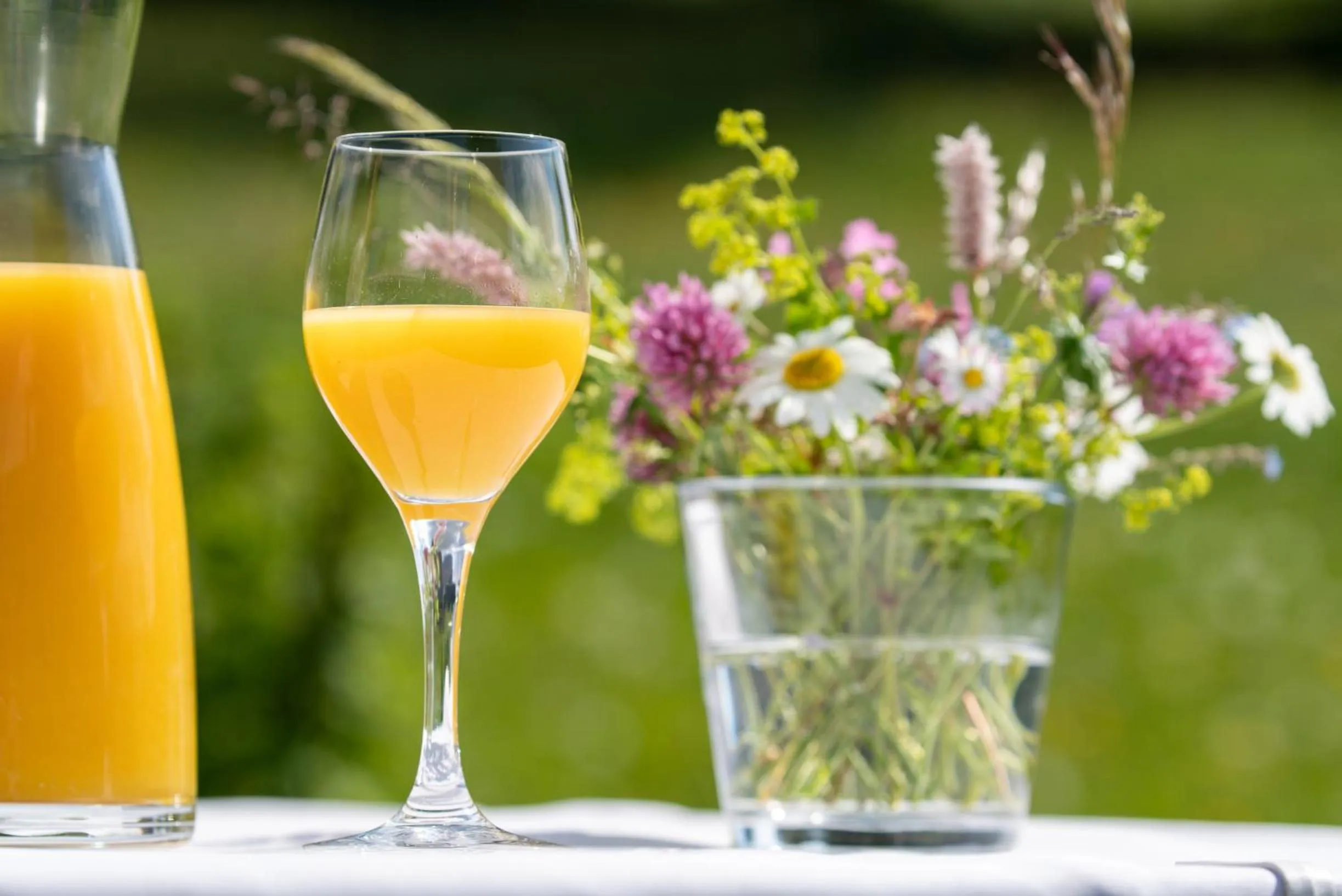 Natural landscape in Hotel Stump's Alpenrose