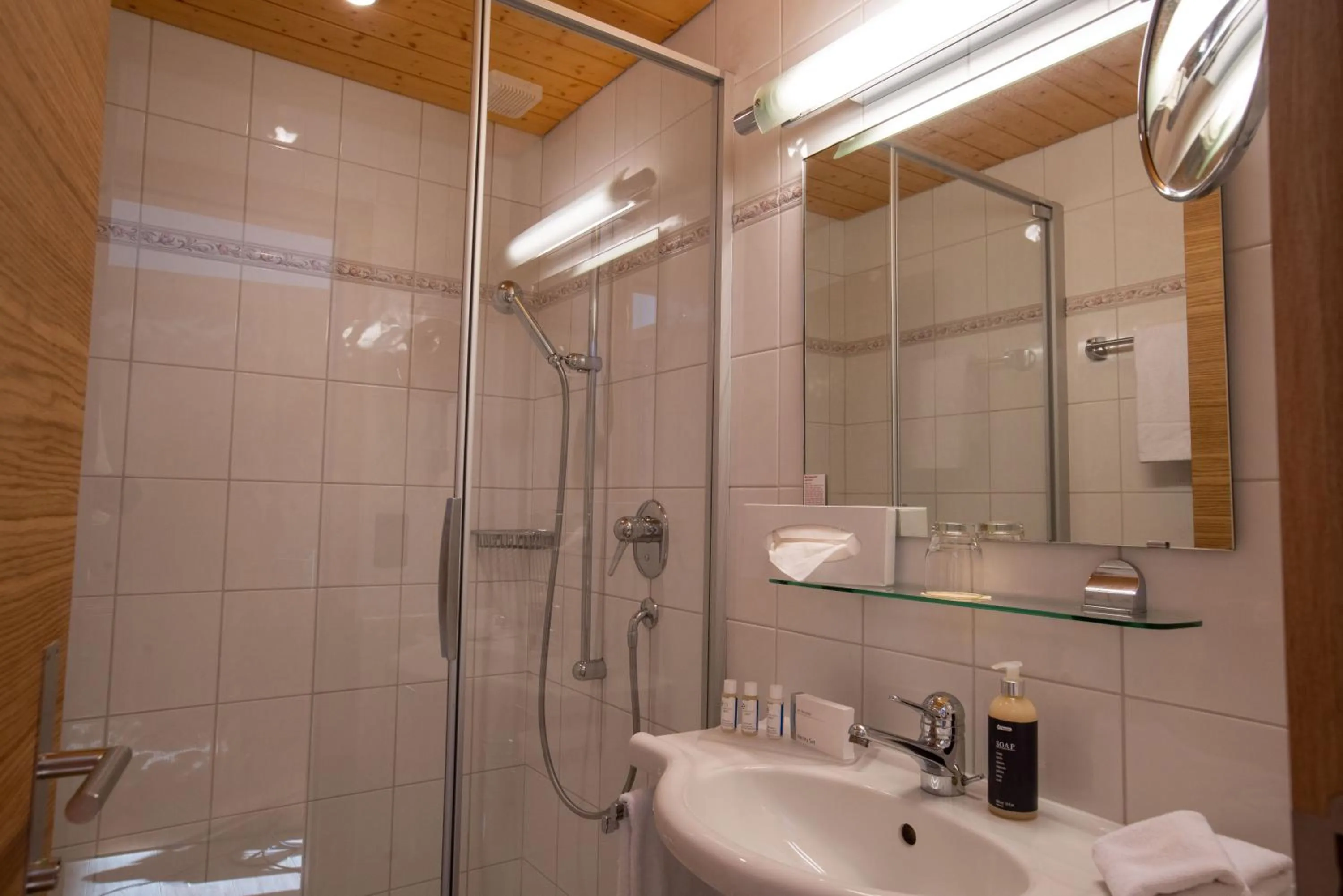 Shower in Hotel Stump's Alpenrose