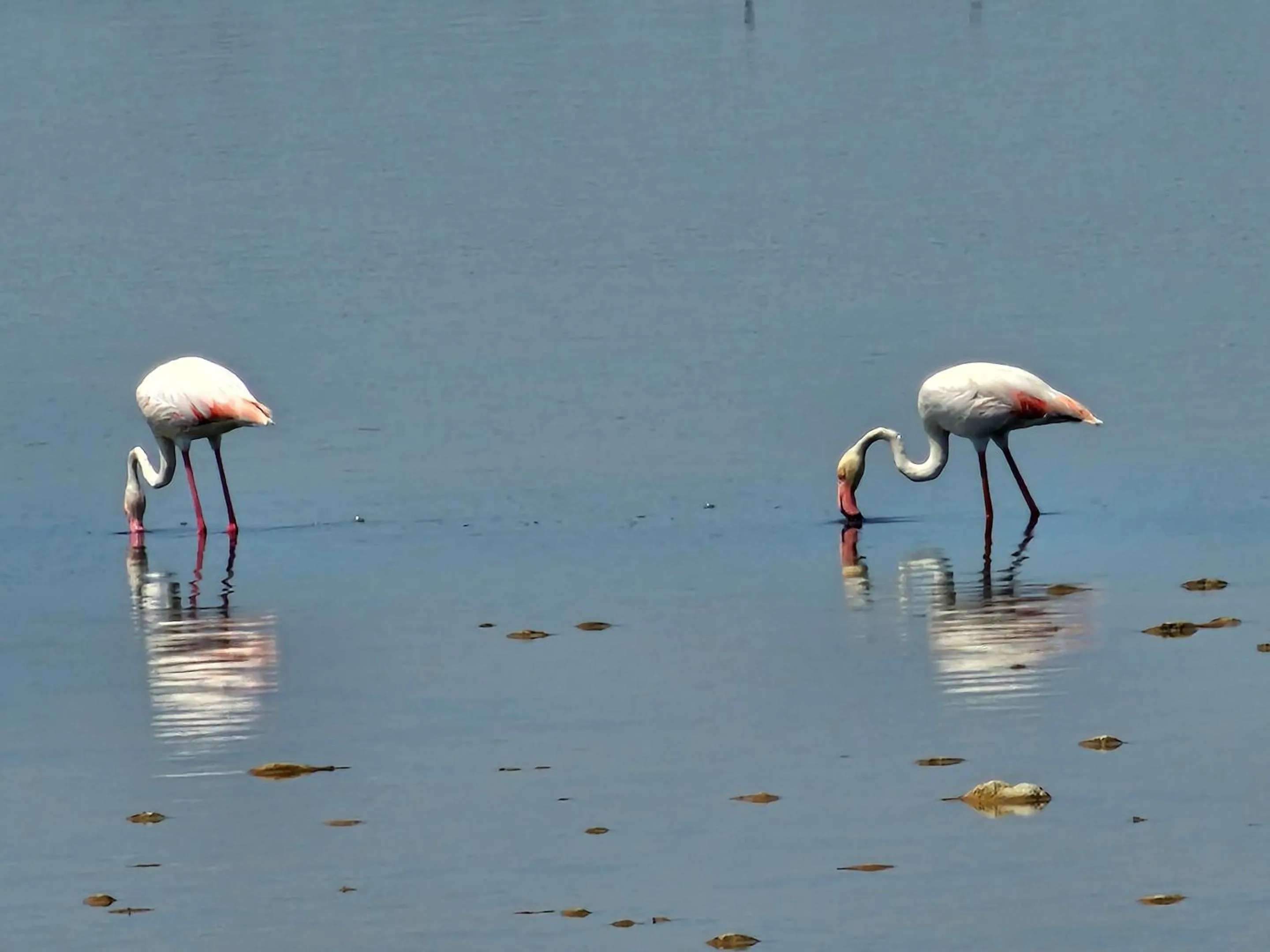 Off site in Le Cheval Blanc