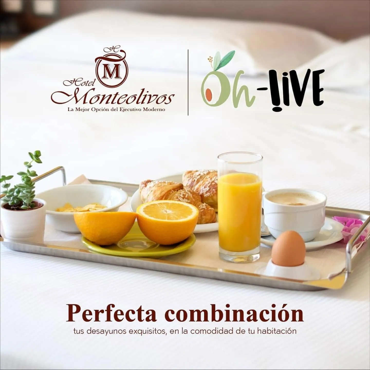 Food and drinks in Hotel Monteolivos