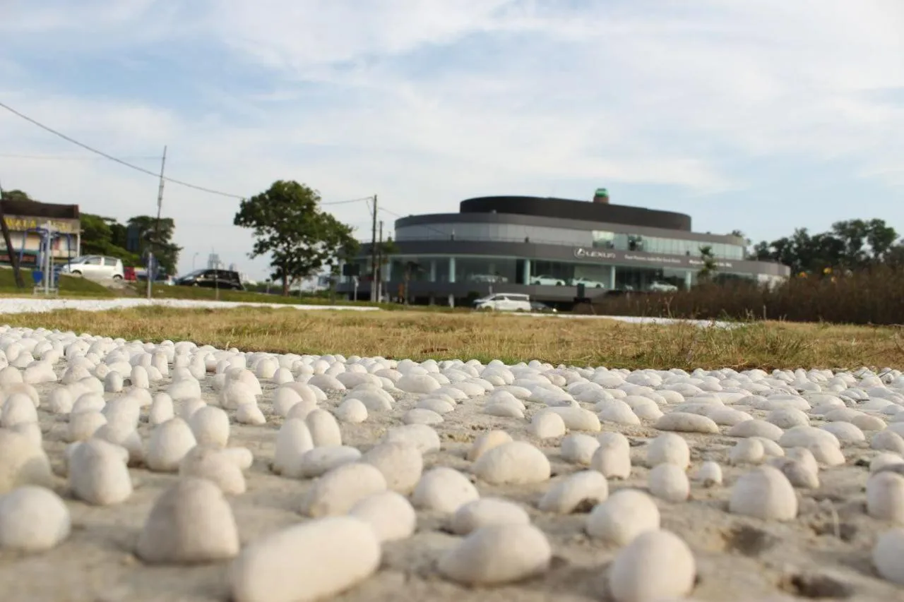 Ghazrin's Garuda Hotel