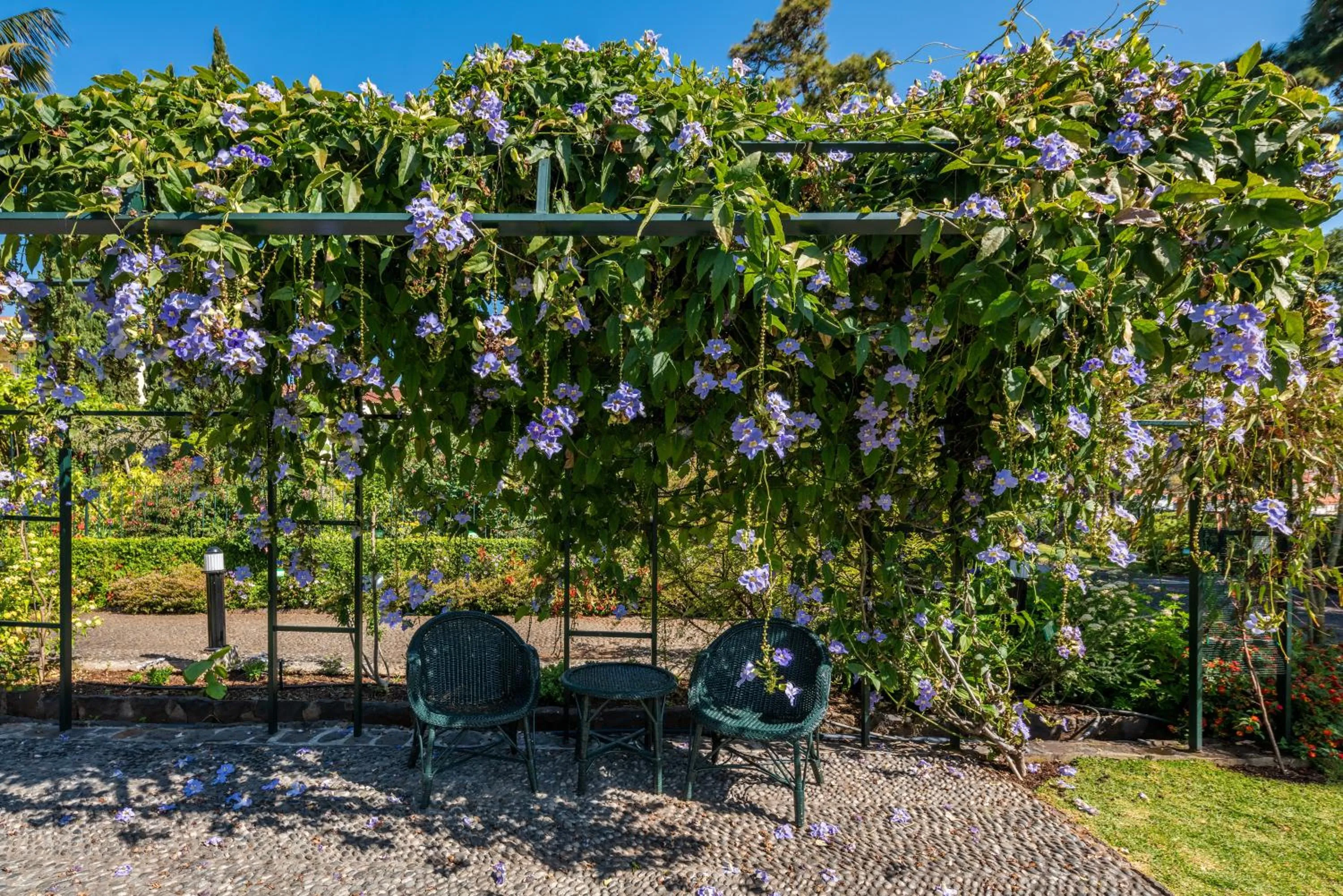 Garden in Quinta Jardins do Lago