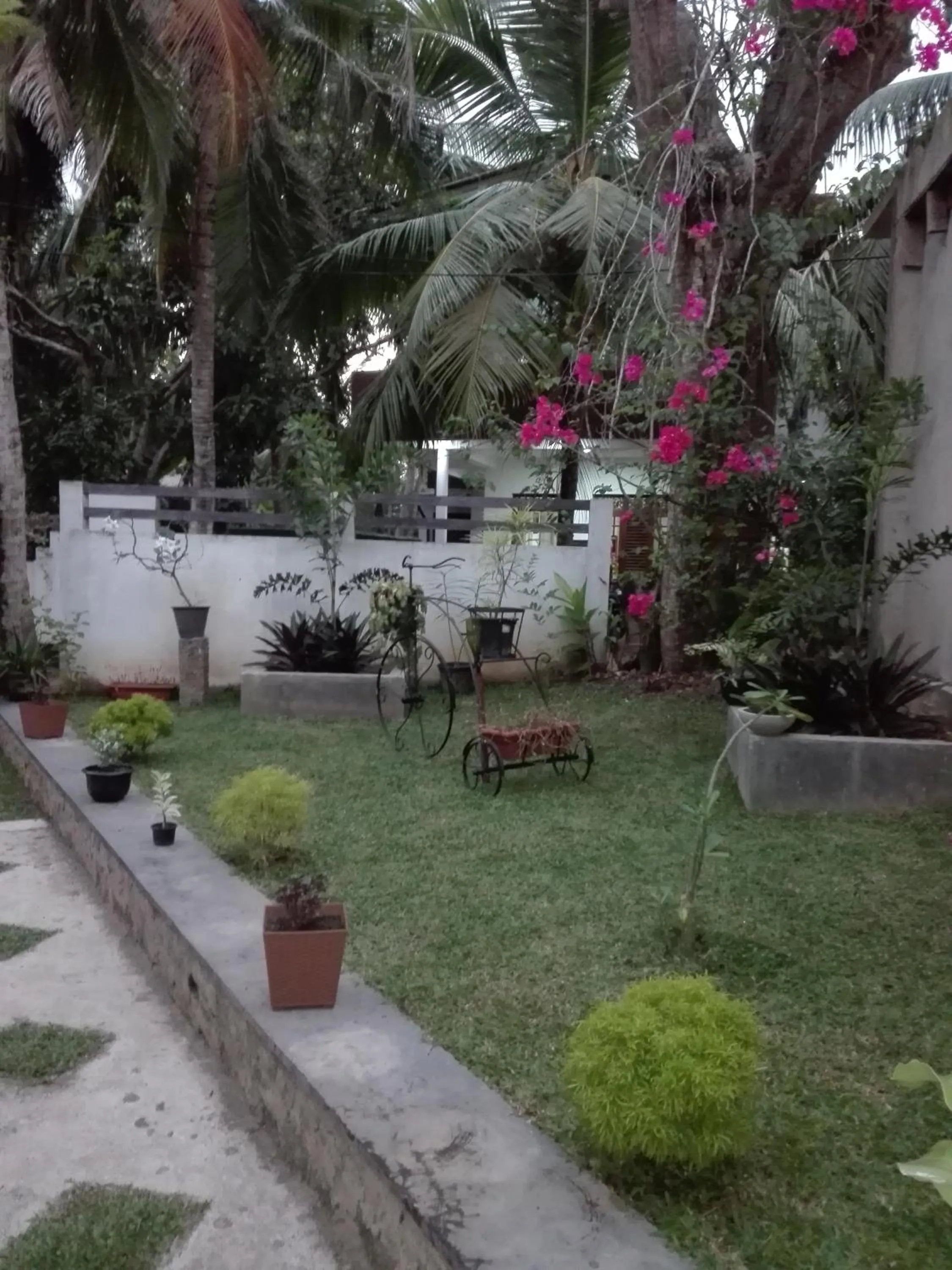 Garden in Neo Grand Villa