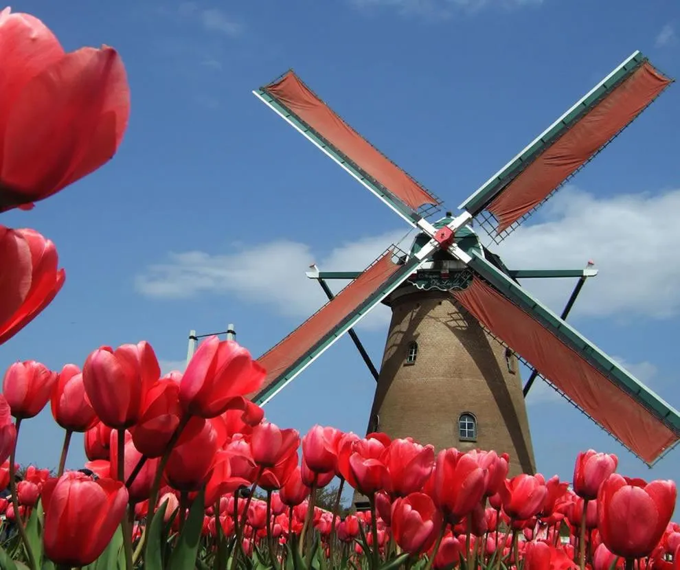 Nearby landmark in Baymont by Wyndham Pella