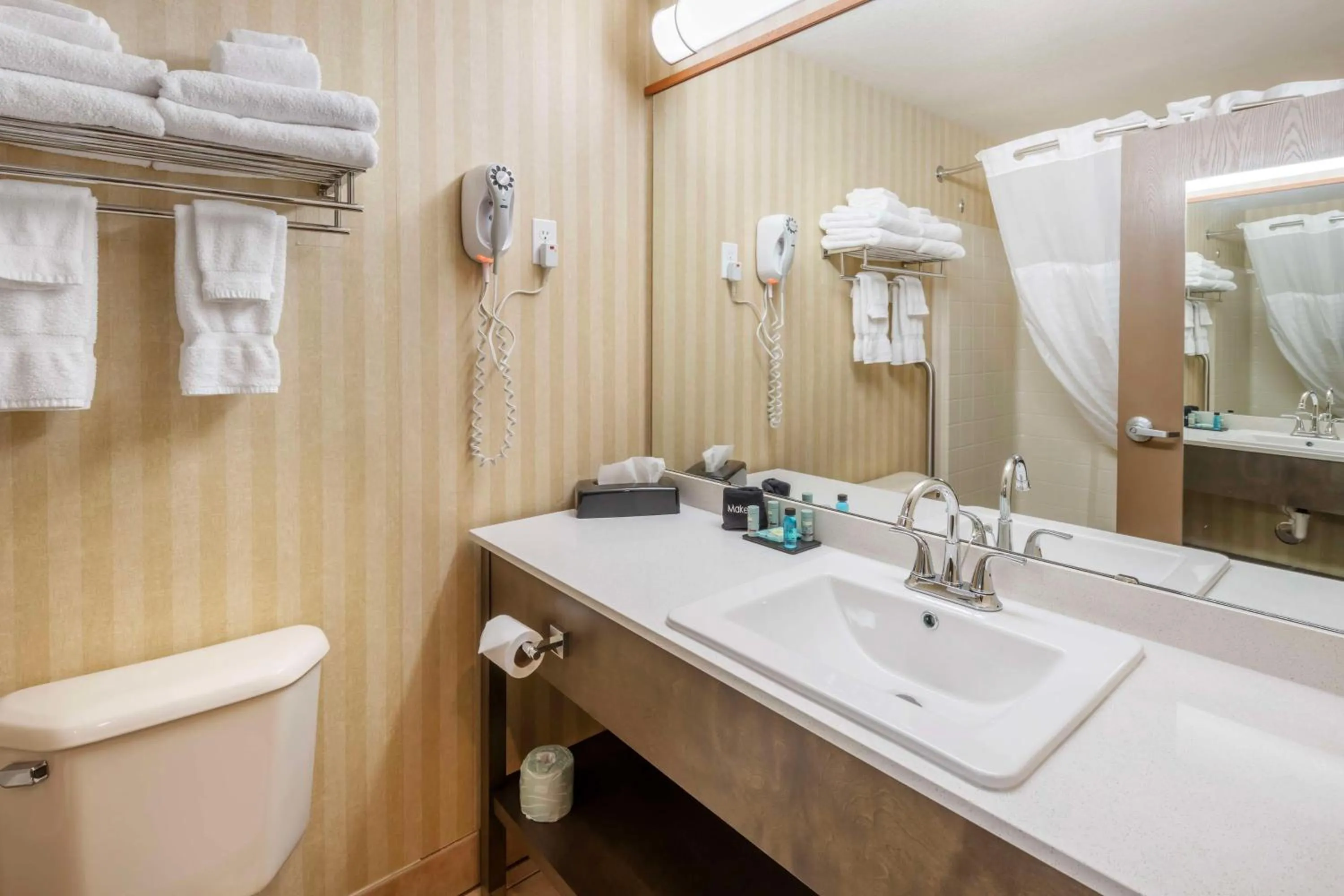 Bathroom in SureStay Plus by Best Western Enterprise