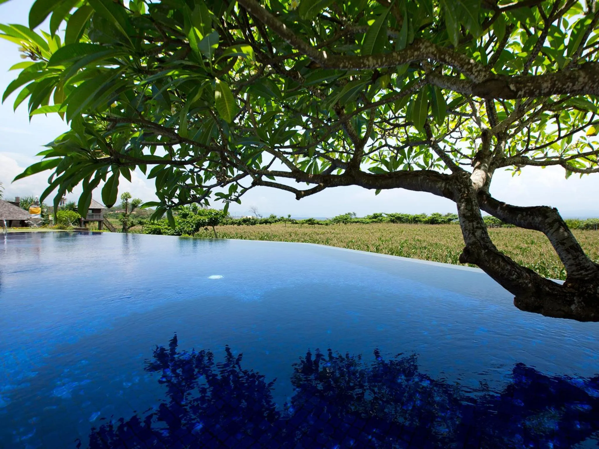 Natural landscape in Sanur Residence