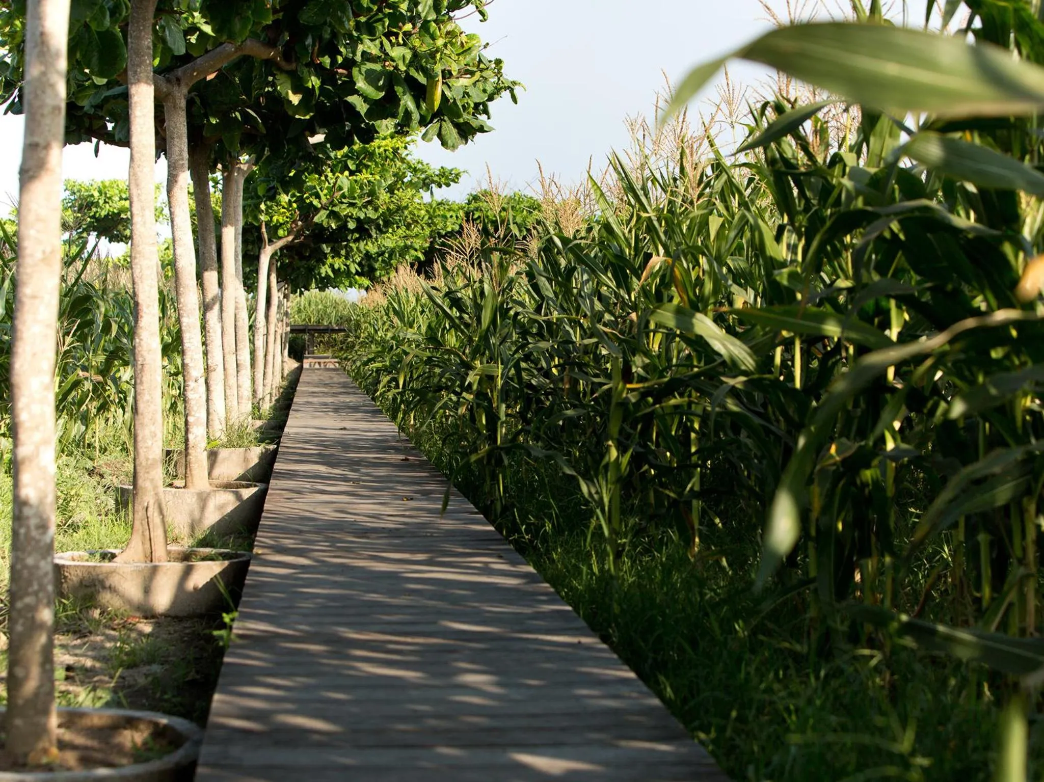 Nearby landmark in Sanur Residence