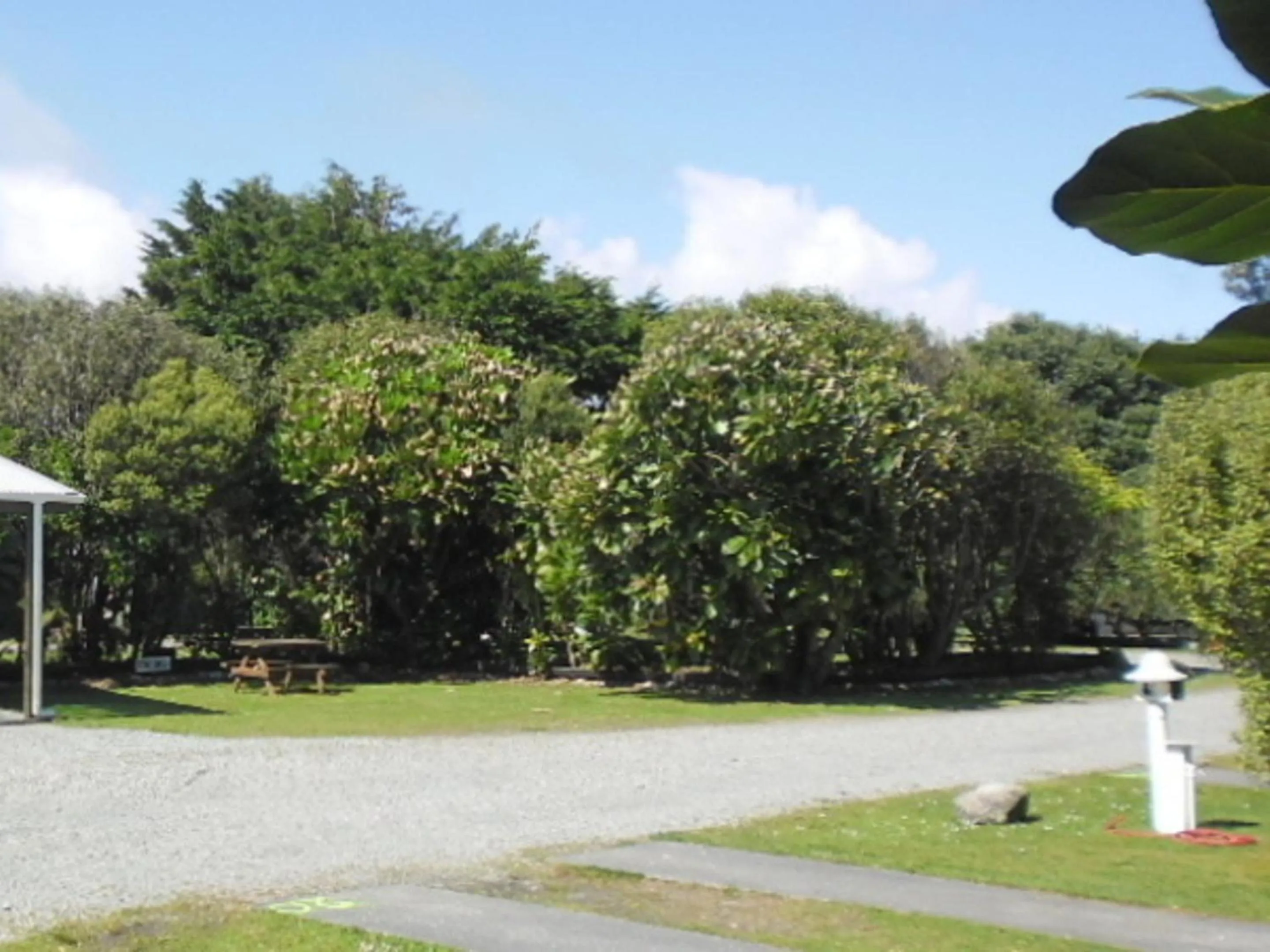 Garden in Greymouth Kiwi Holiday Park & Motels