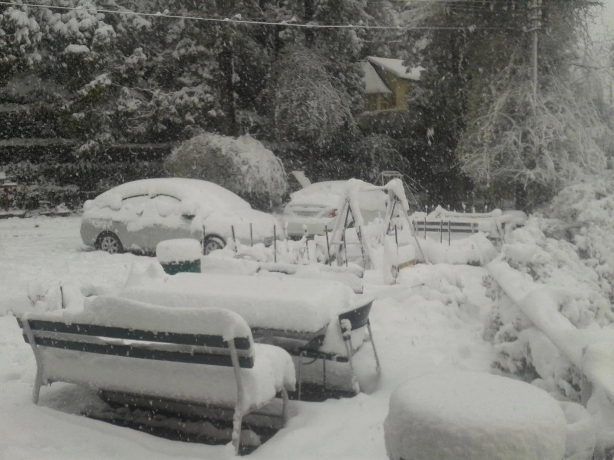 Winter in Hotel Padmini NIvas